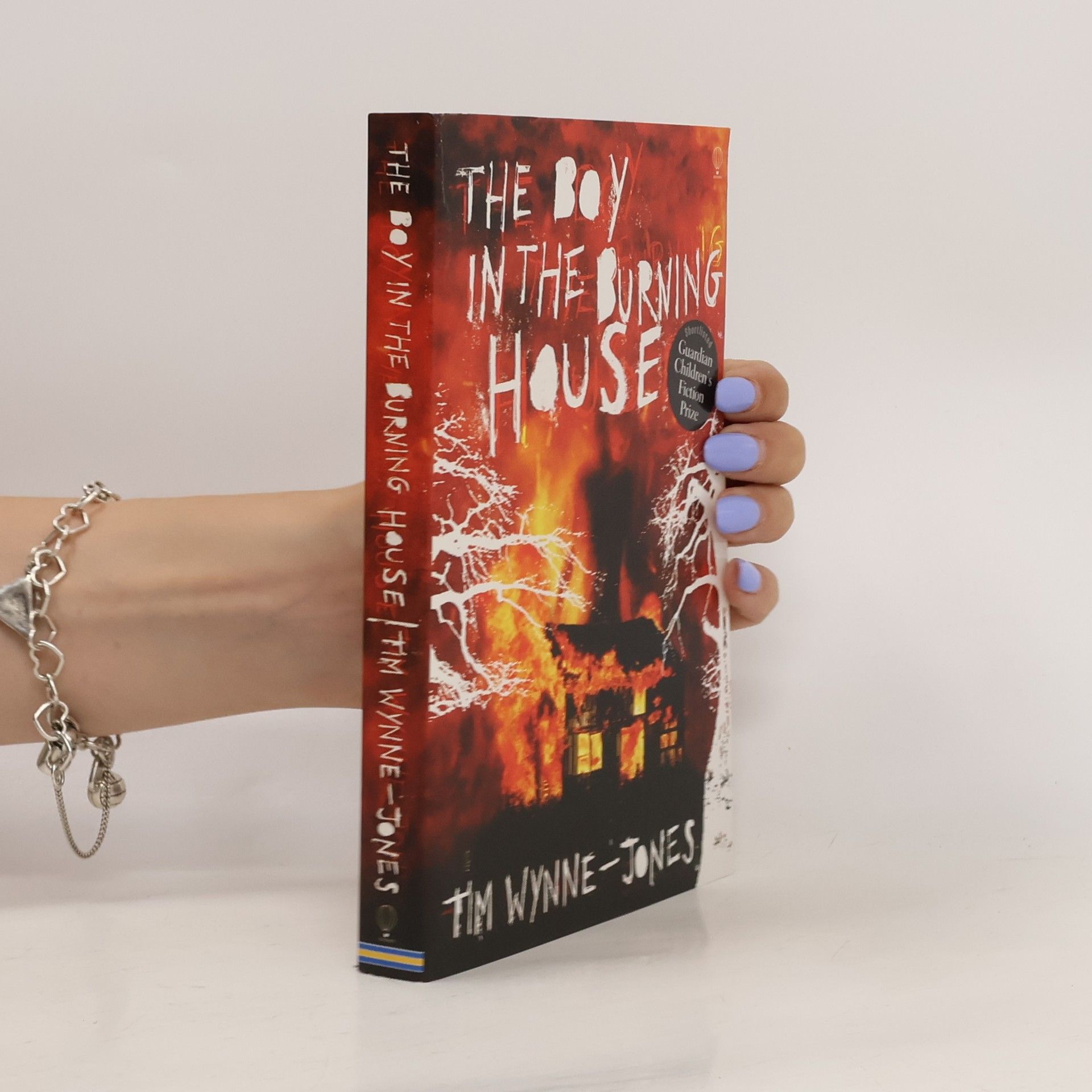 Tim Wynne-Jones The Boy in the Burning House