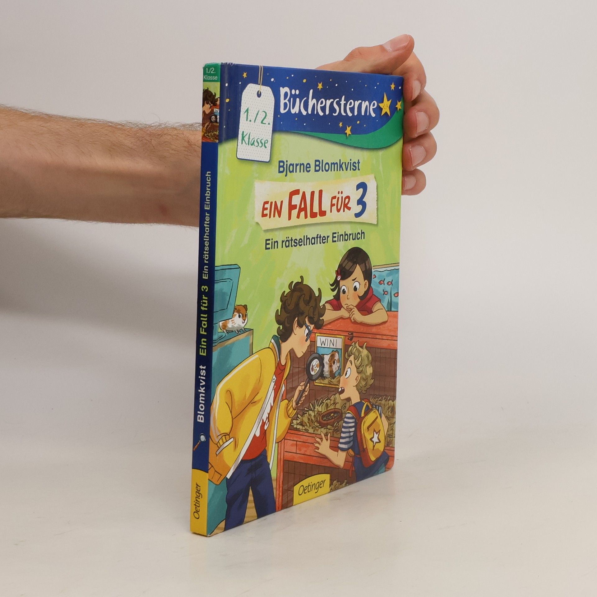Bjarne Blomkvist Ein Fall für 3. Ein rätselhafter Einbruch