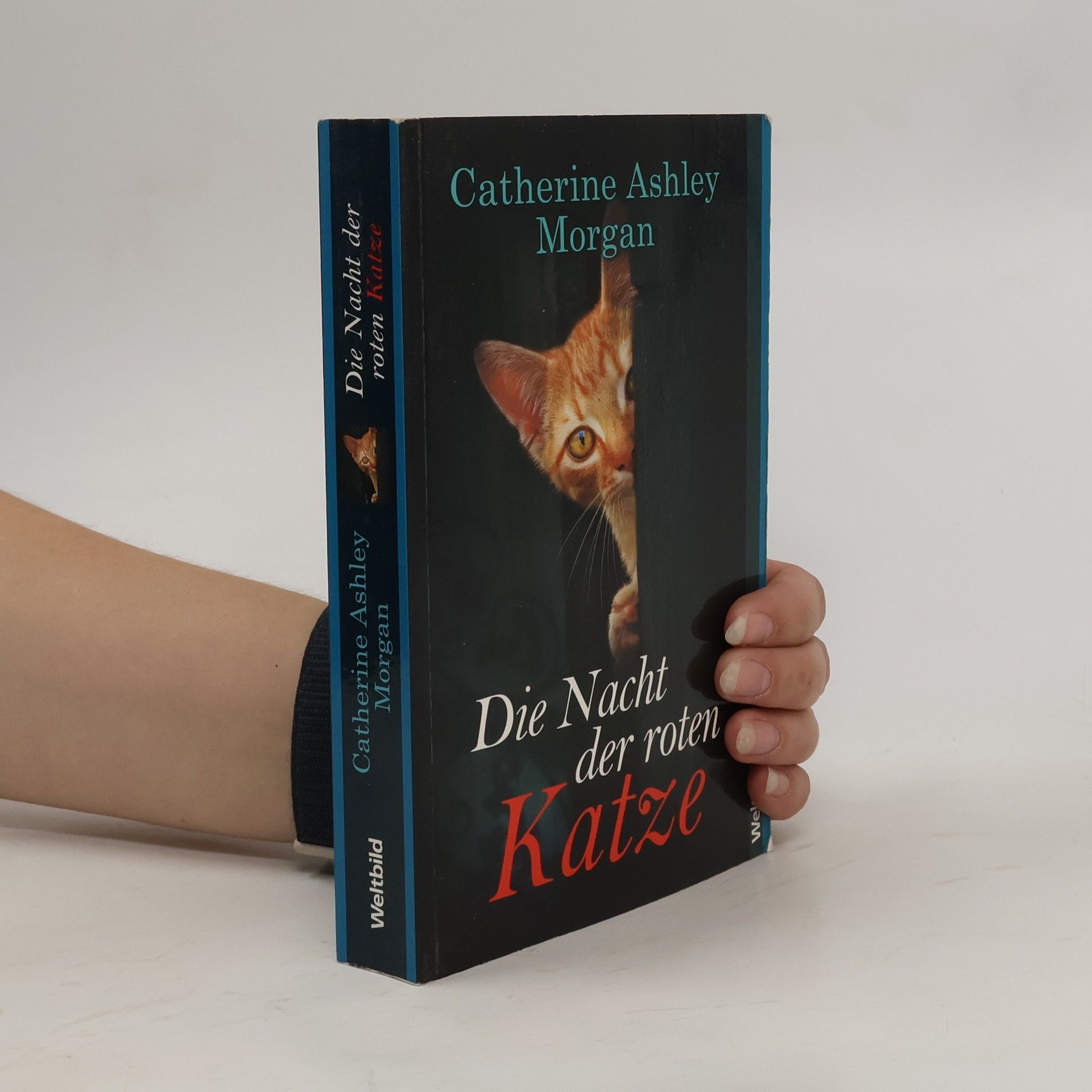 Catherine Ashley Morgan Die Nacht der roten Katze