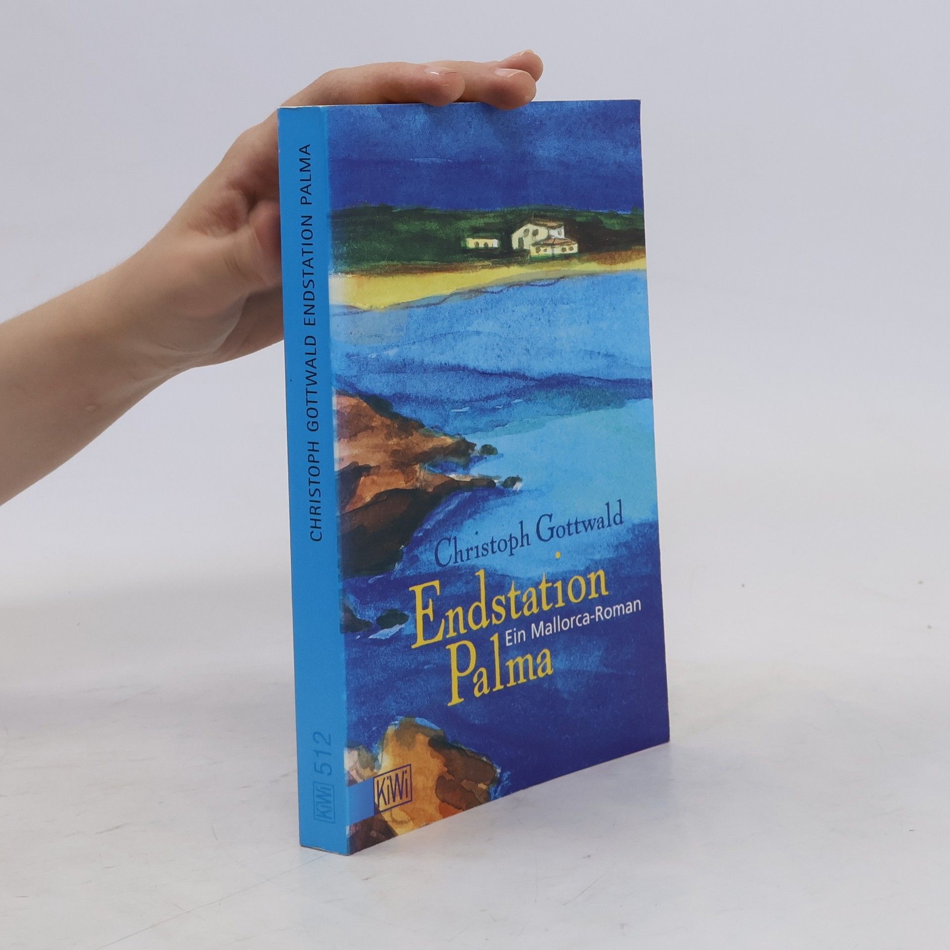 Christoph Gottwald Endstation Palma