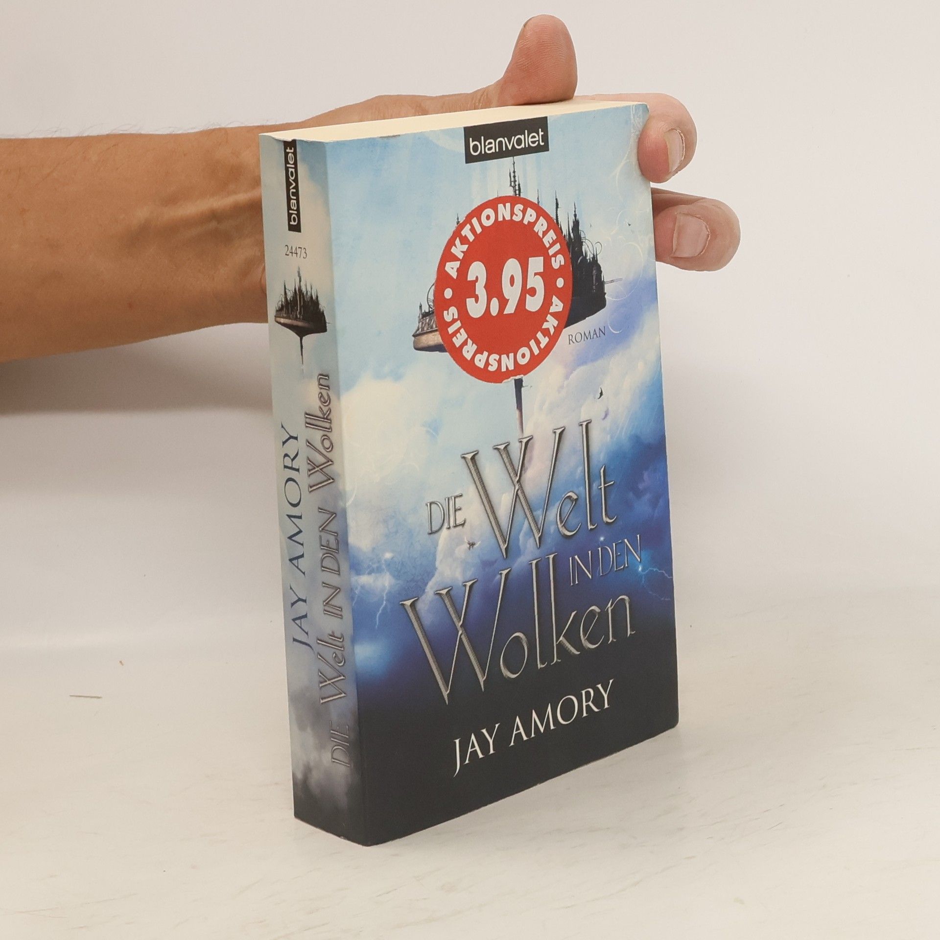 Jay Amory Die Welt in den Wolken
