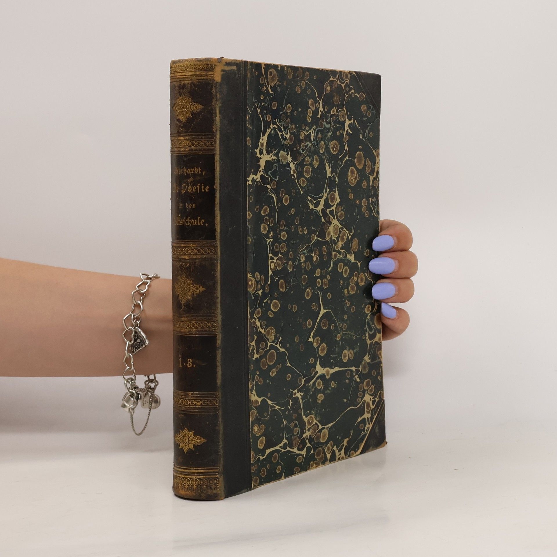 Autorenkollektiv Die Poesie in der Volksschule 1-3