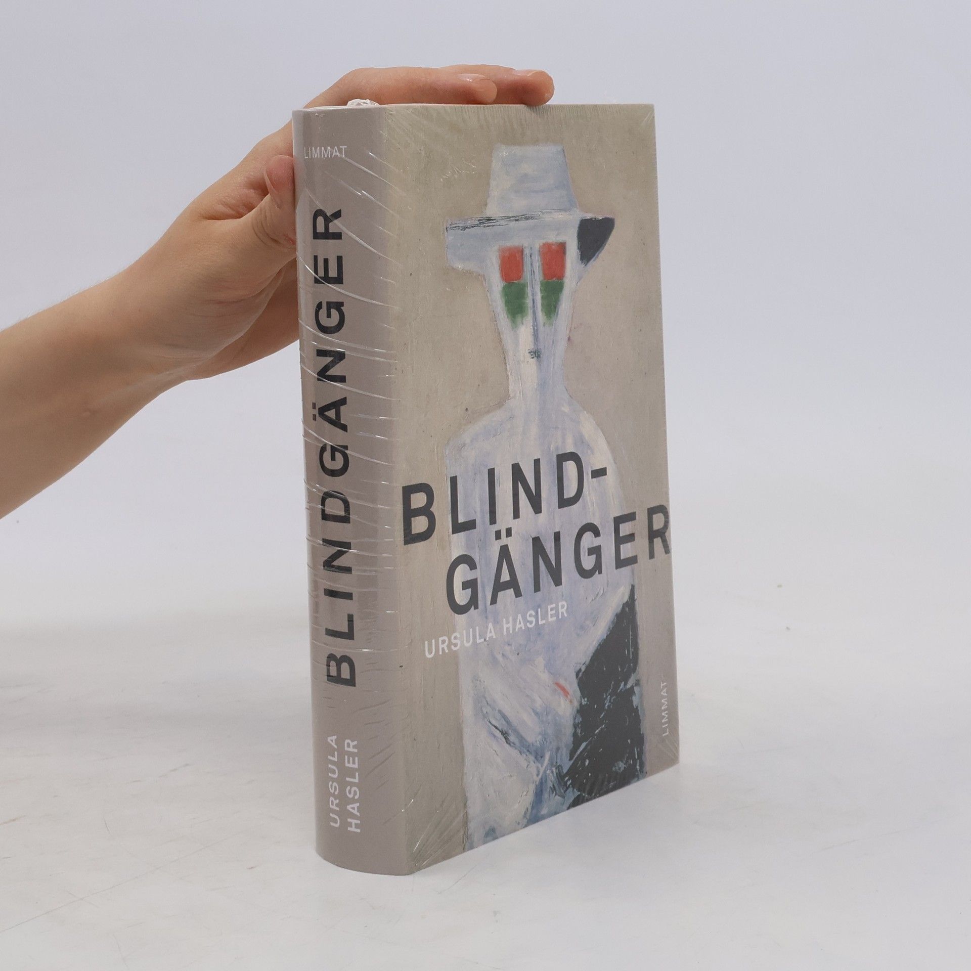 Ursula Hasler Der Blindgänger