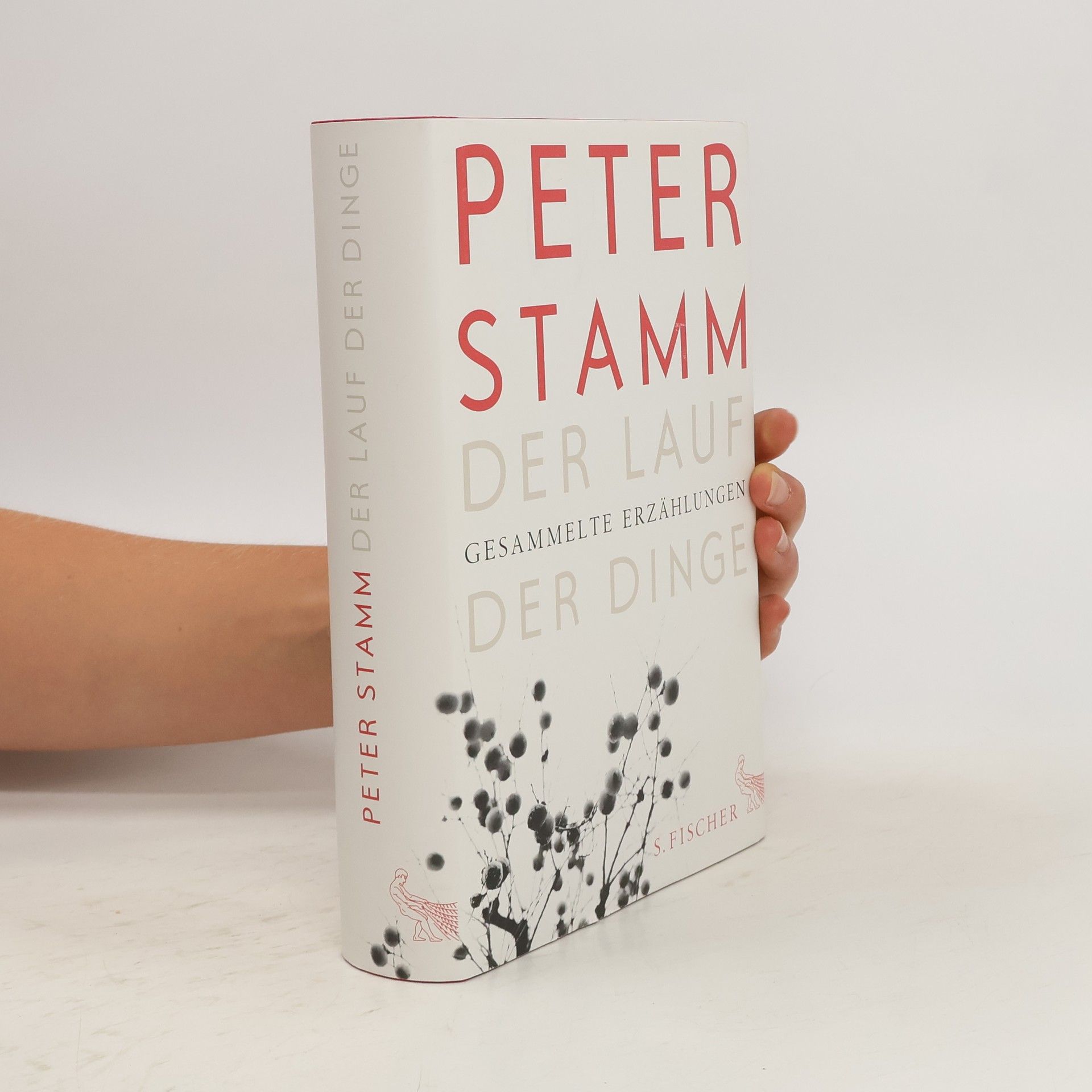 Peter Stamm Der Lauf der Dinge