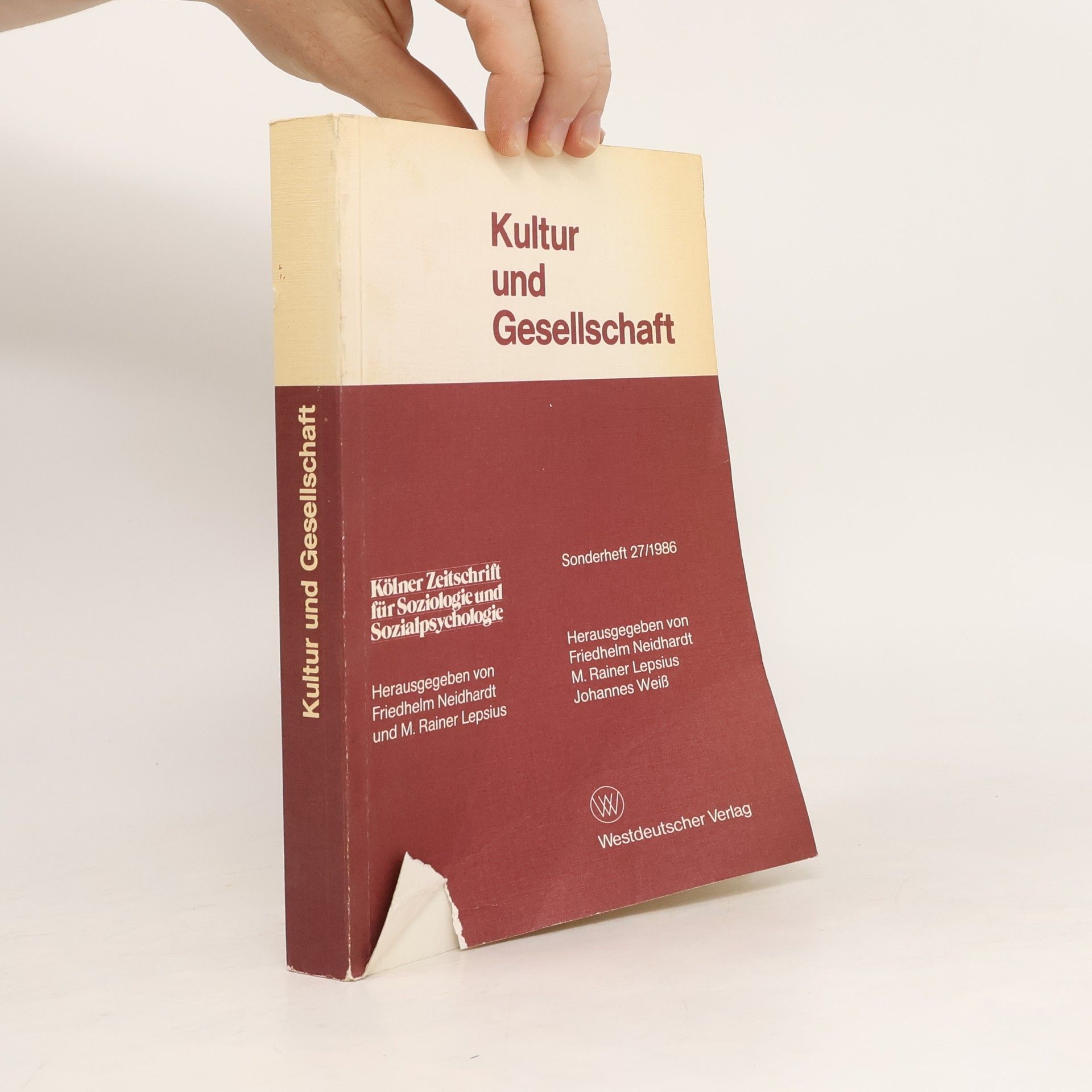 Friedhelm Neidhardt Kultur und Gesellschaft