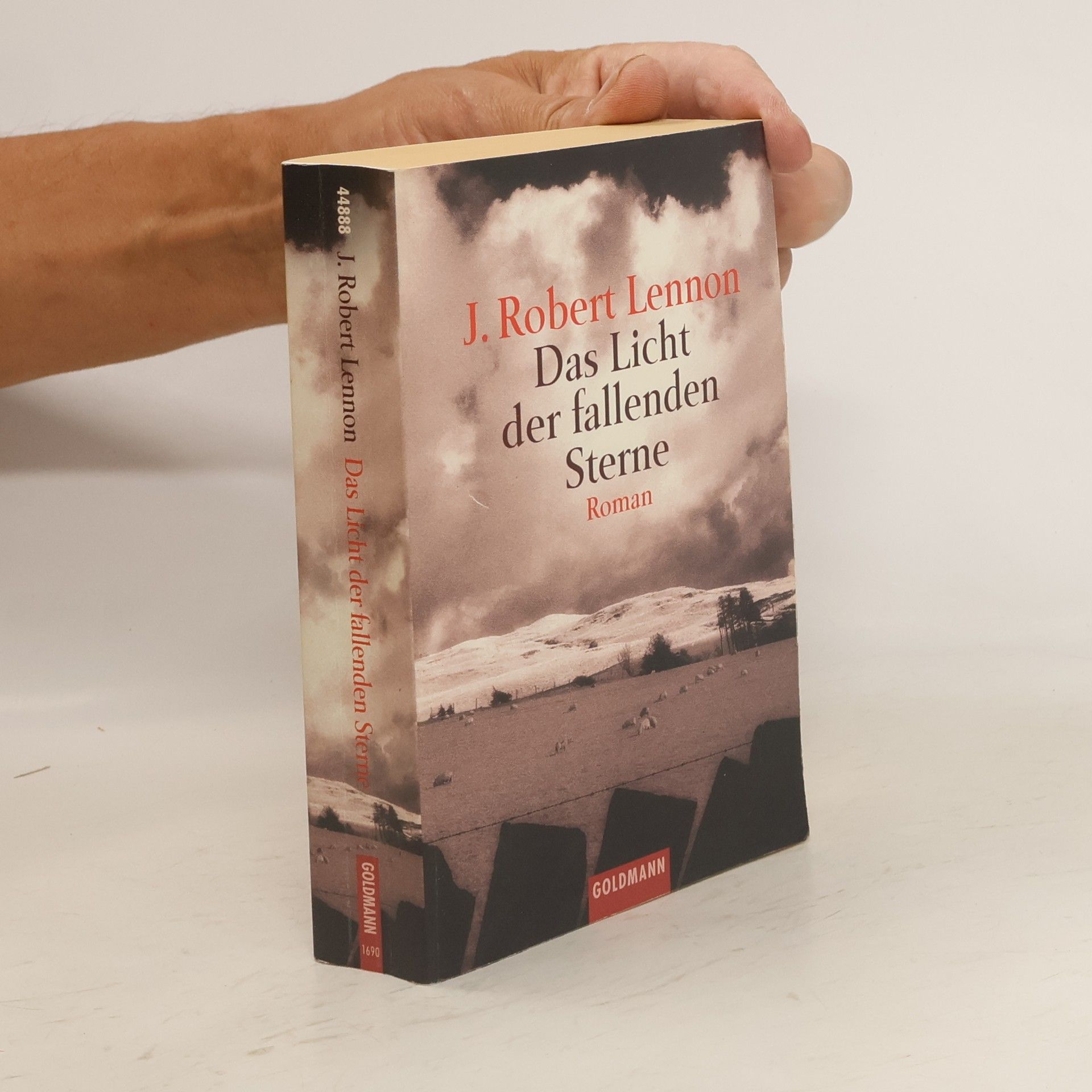 J. Robert Lennon Das Licht der fallenden Sterne