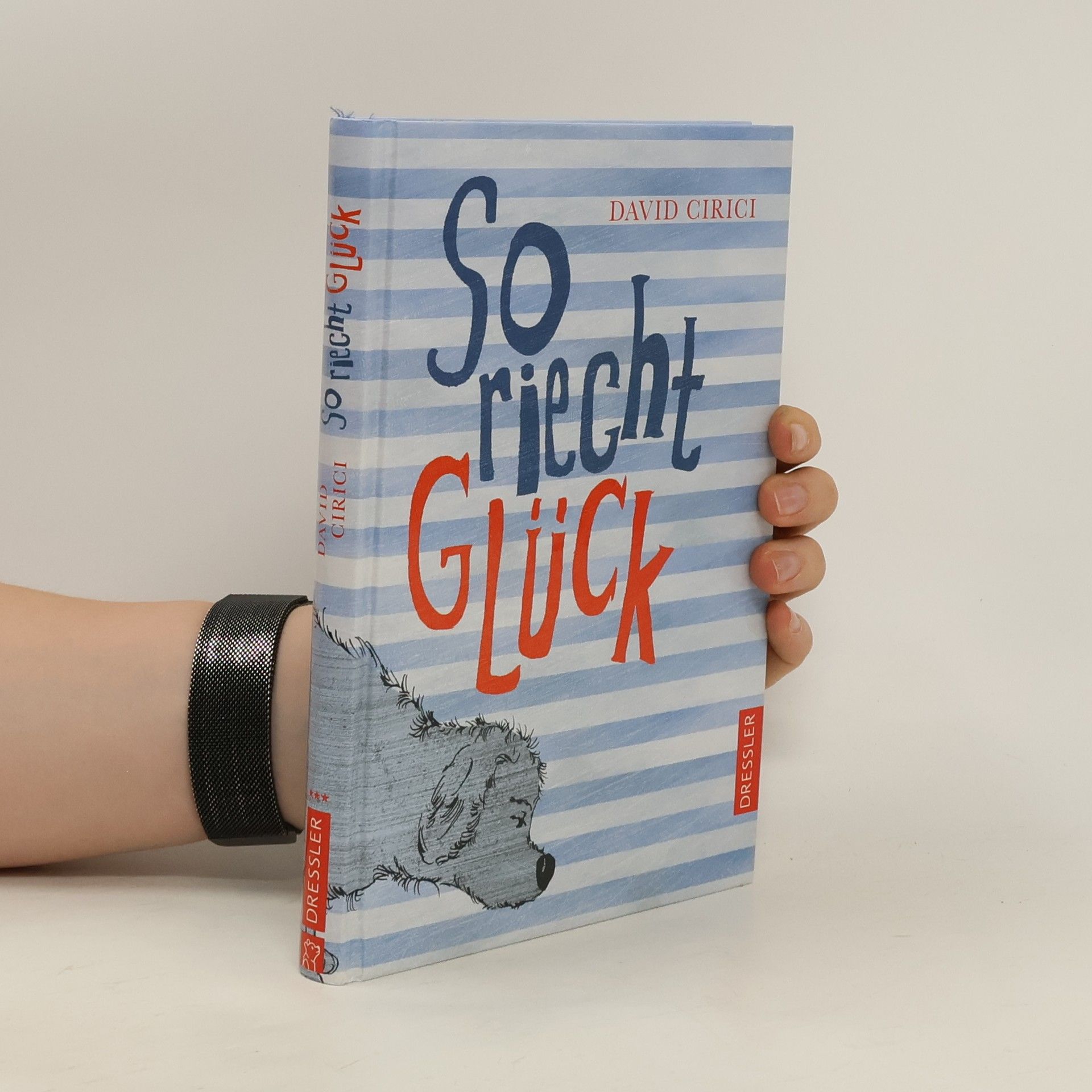 David Cirici So riecht Glück