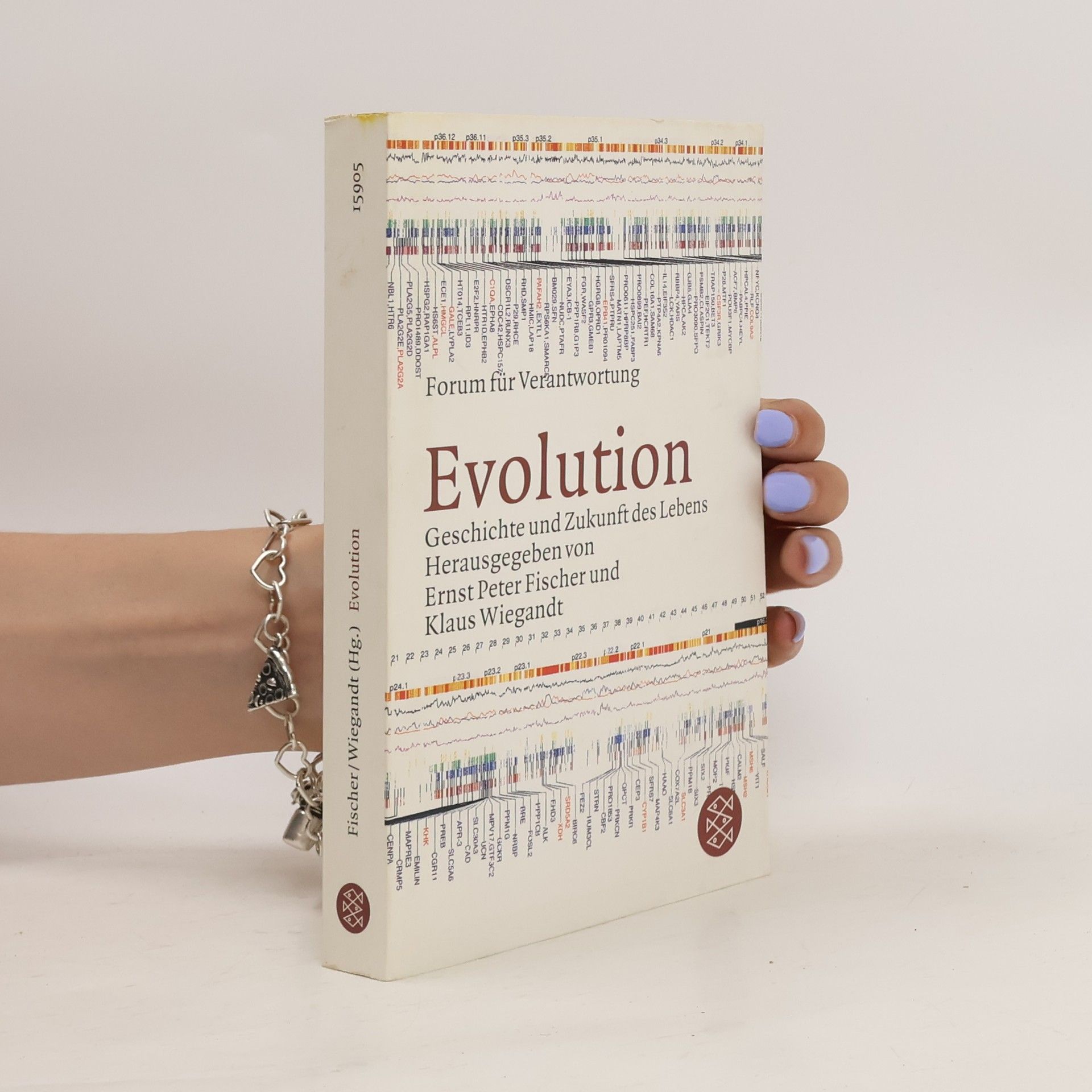 Ernst Fischer Evolution