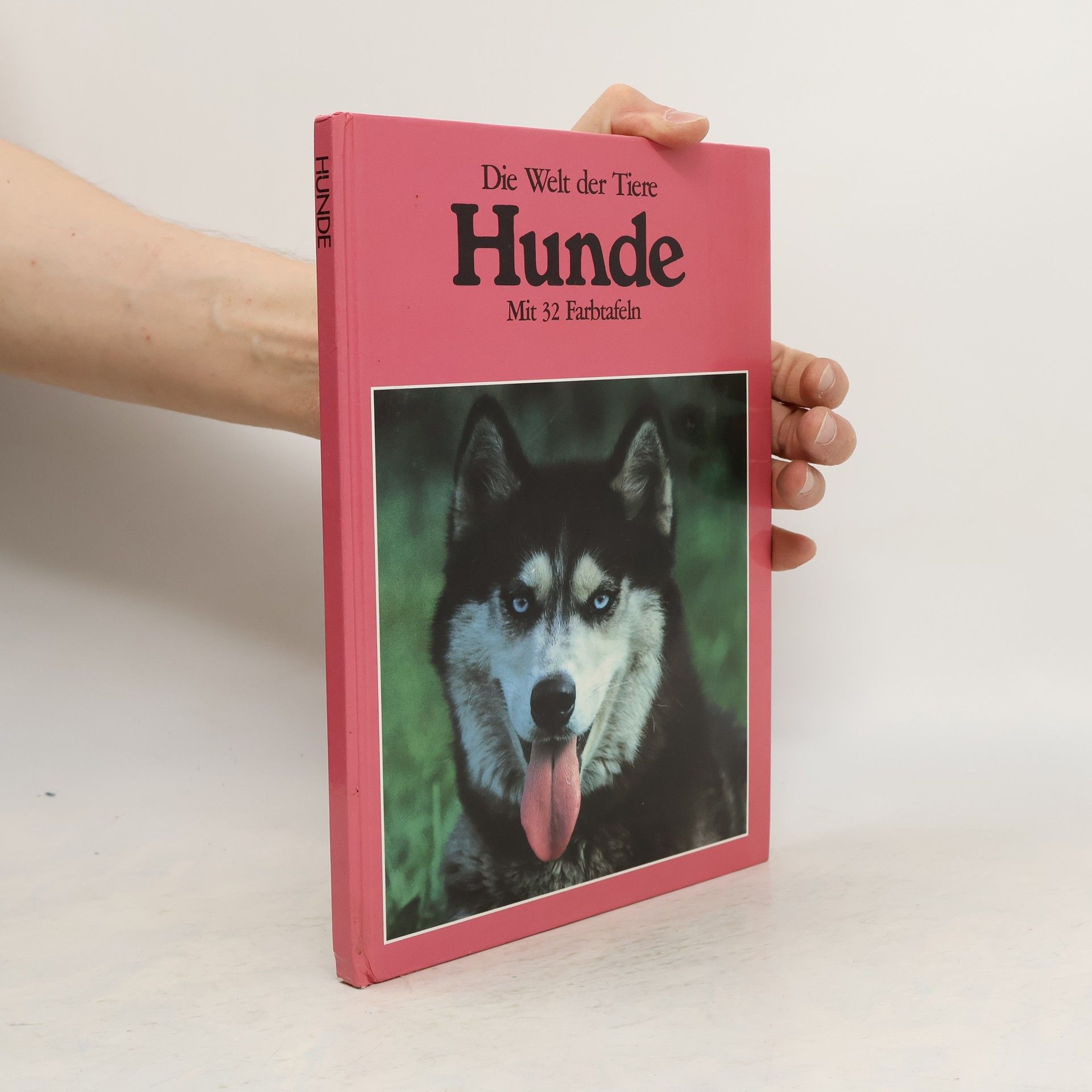 Autorenkollektiv Die Welt die Tiere: Hunde
