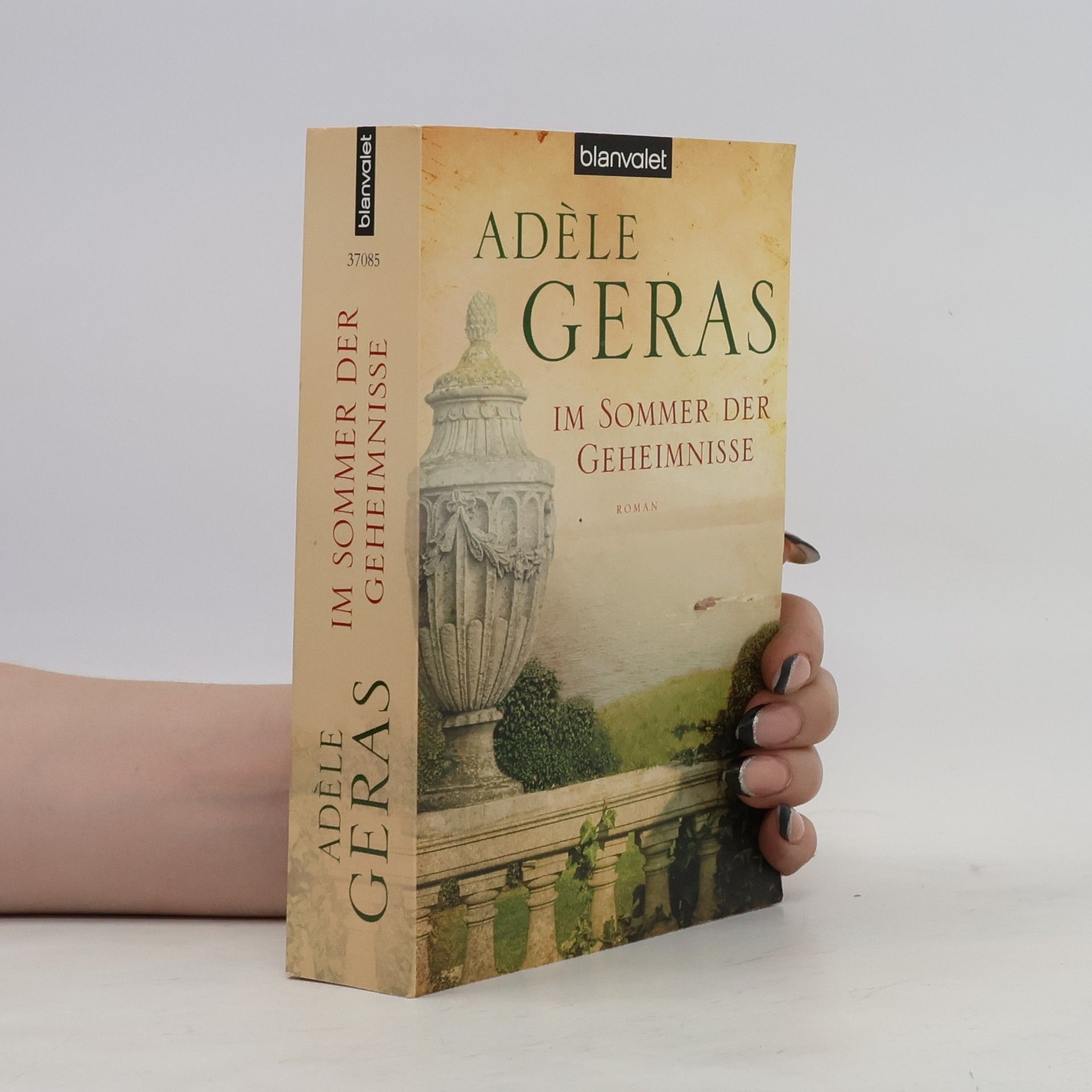 Adèle Geras Im Sommer der Geheimnisse