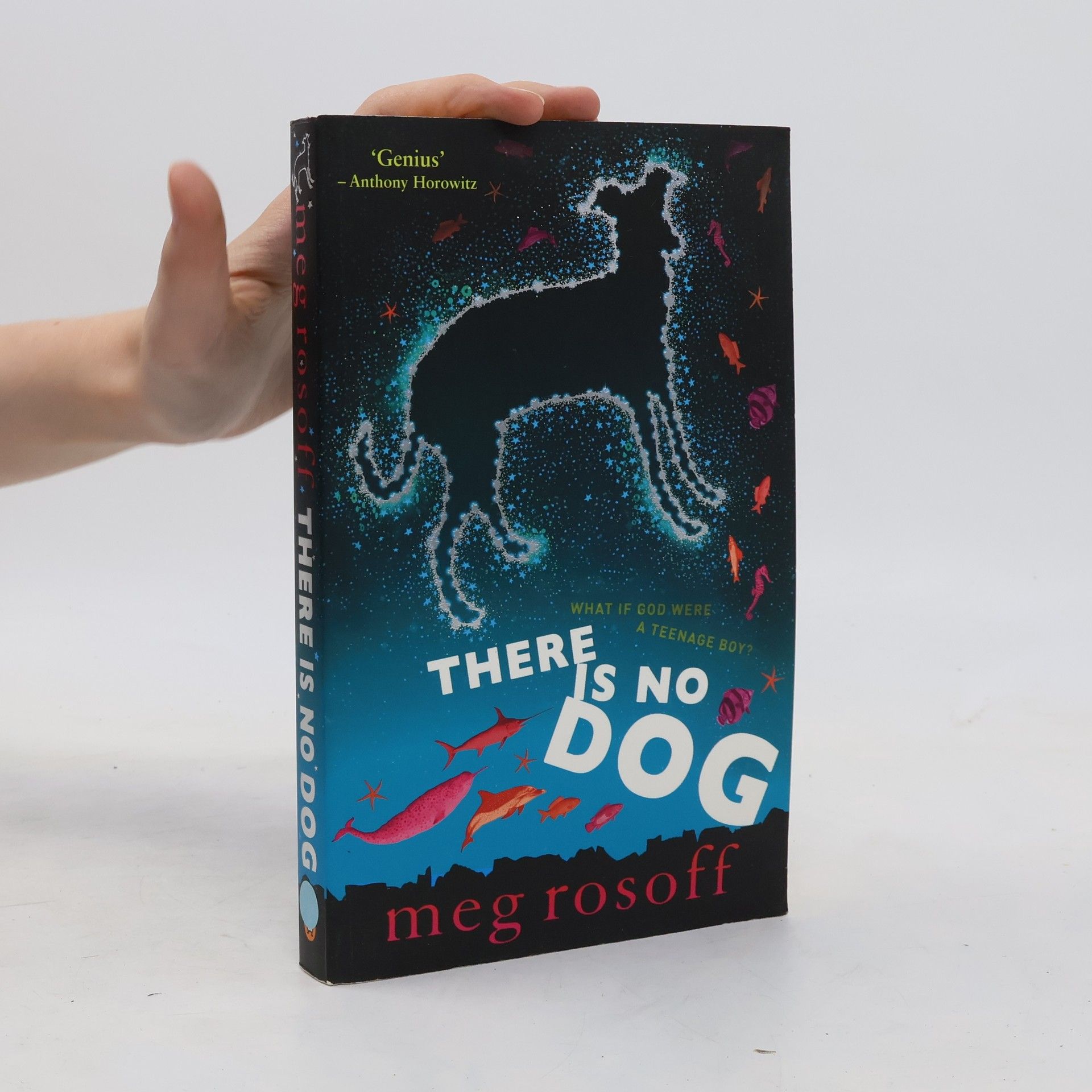 Meg Rosoff There is No Dog