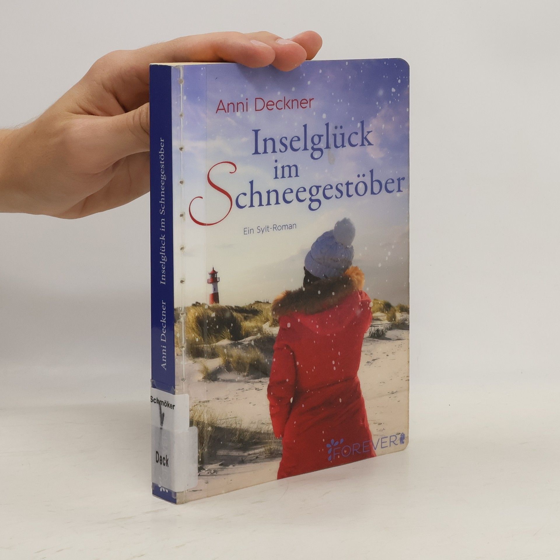 Anni Deckner Inselglück im Schneegestöber