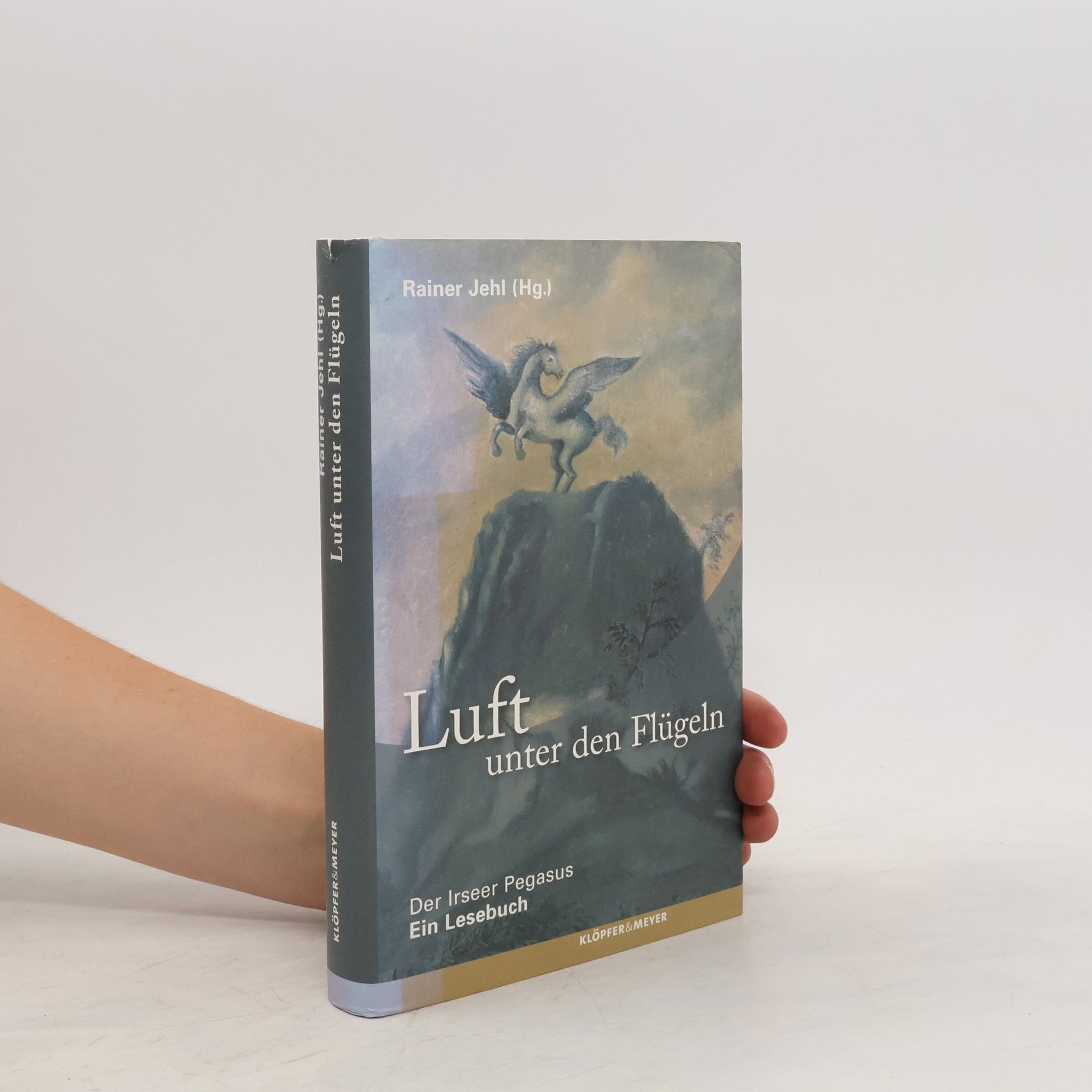 Rainer Jehl Luft unter den Flügeln