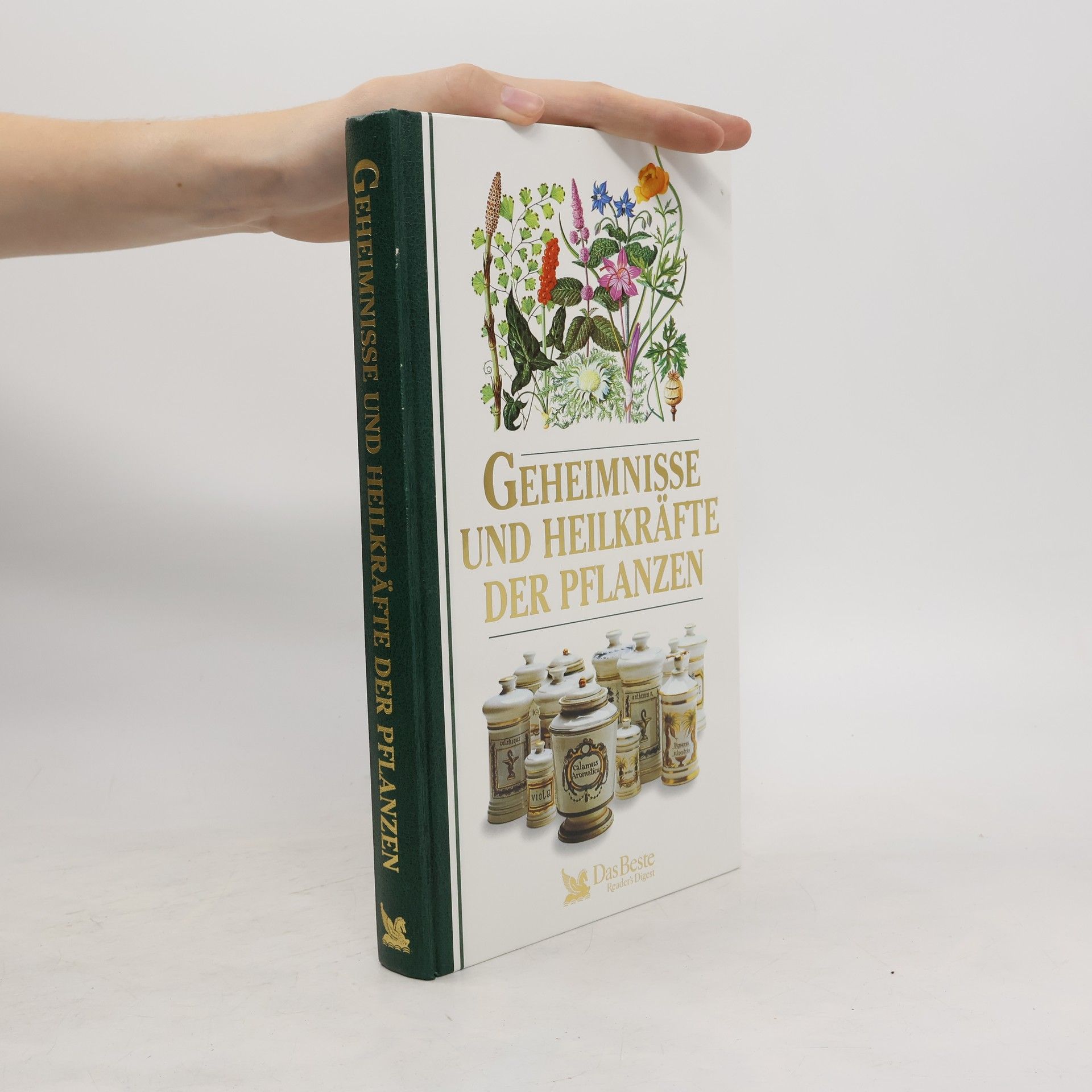 Kolektiv autorů Geheimnisse und Heilkräfte der Pflanzen