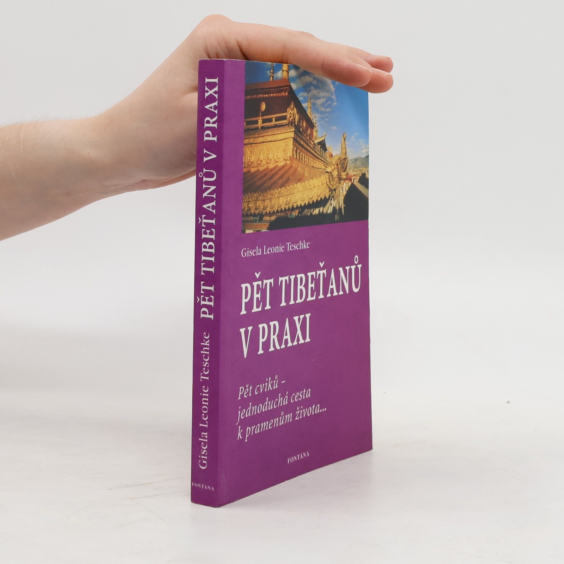 Gisela Leonie Teschke Pět Tibeťanů v praxi