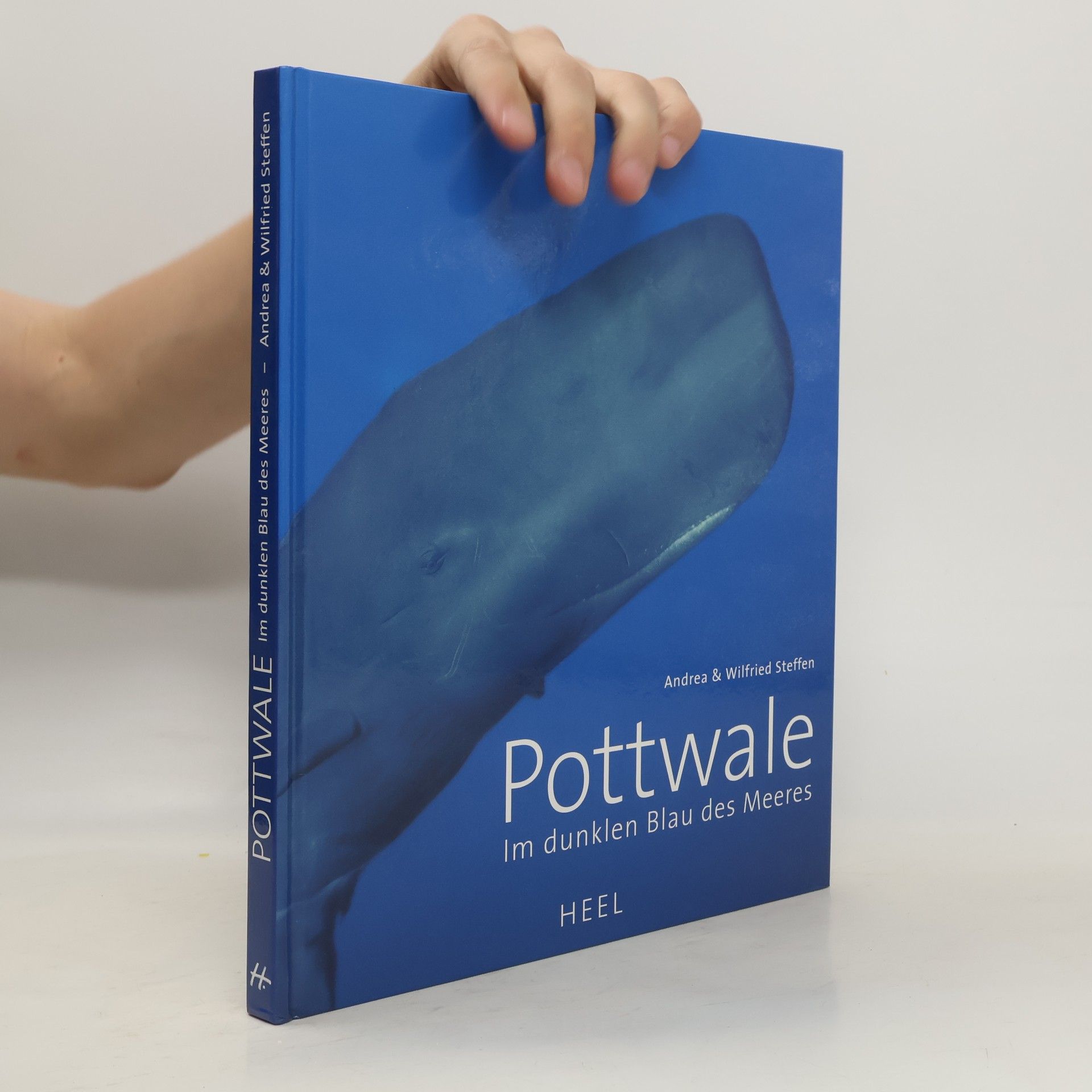 Andrea Steffen Pottwale