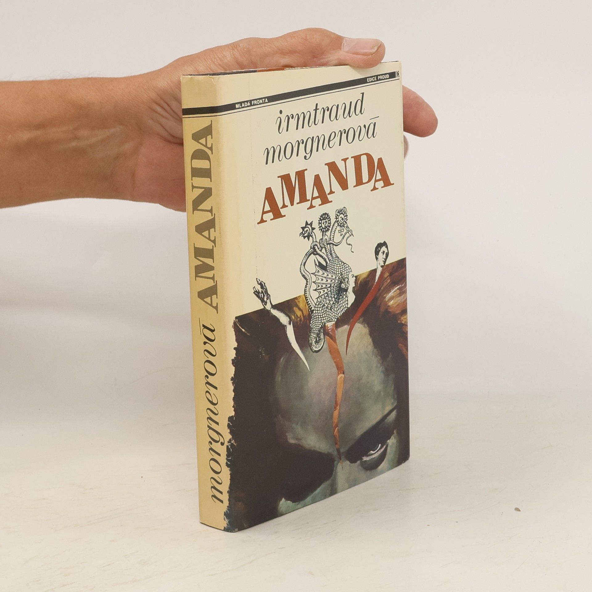 Irmtraud Morgner Amanda. Čarodějničí román