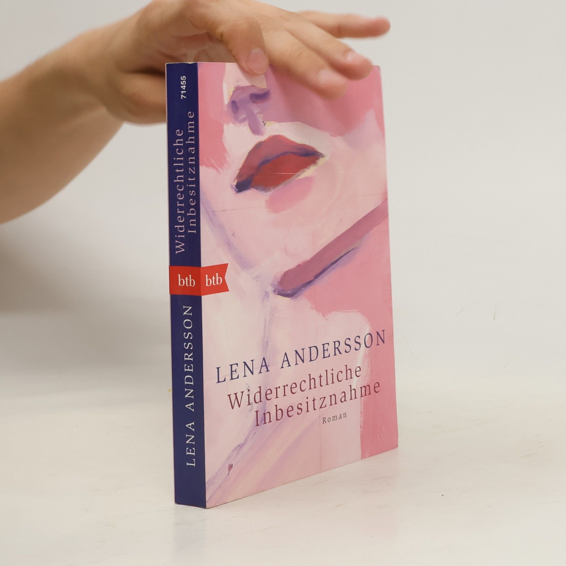 Lena Andersson Widerrechtliche Inbesitznahme