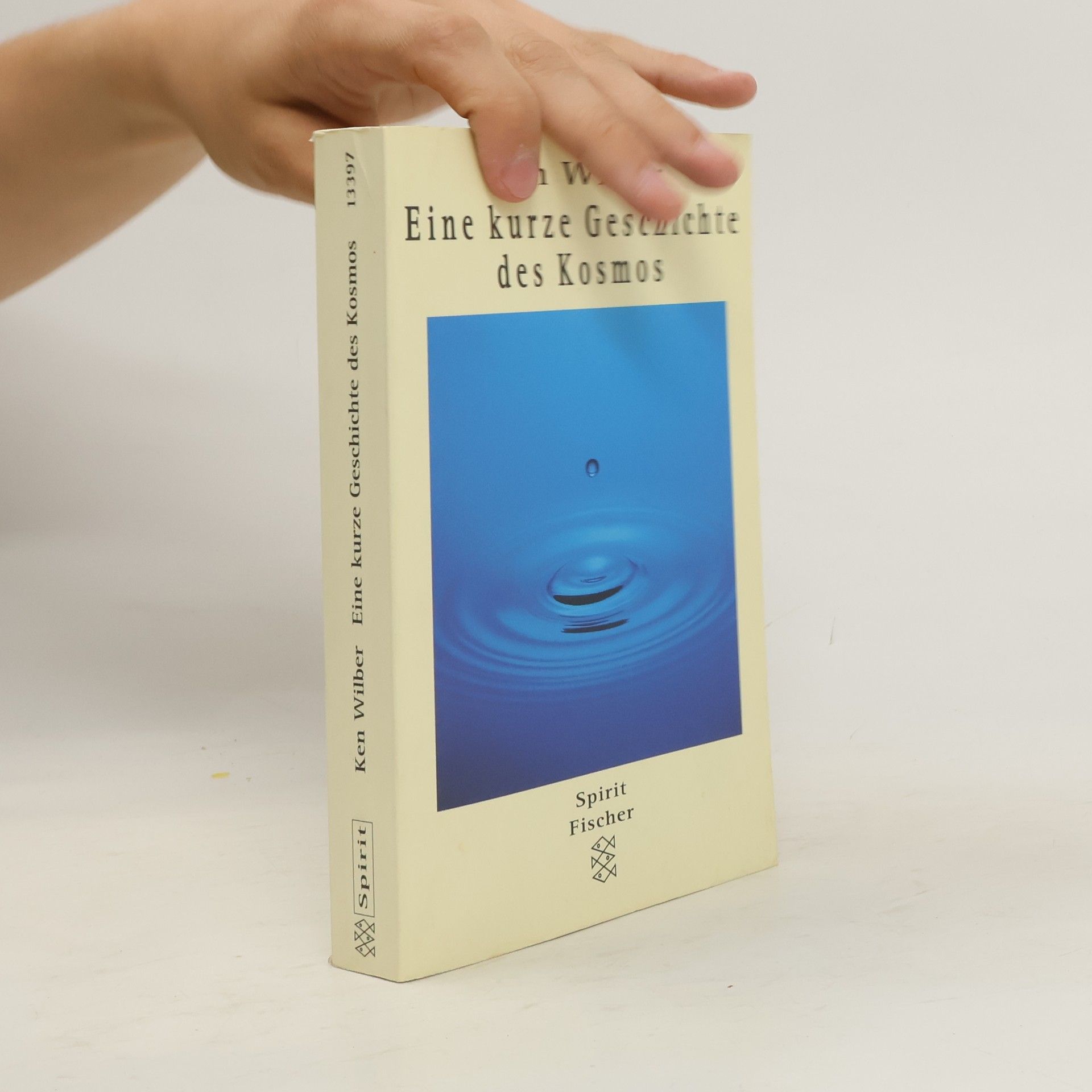 Ken Wilber Eine kurze Geschichte des Kosmos