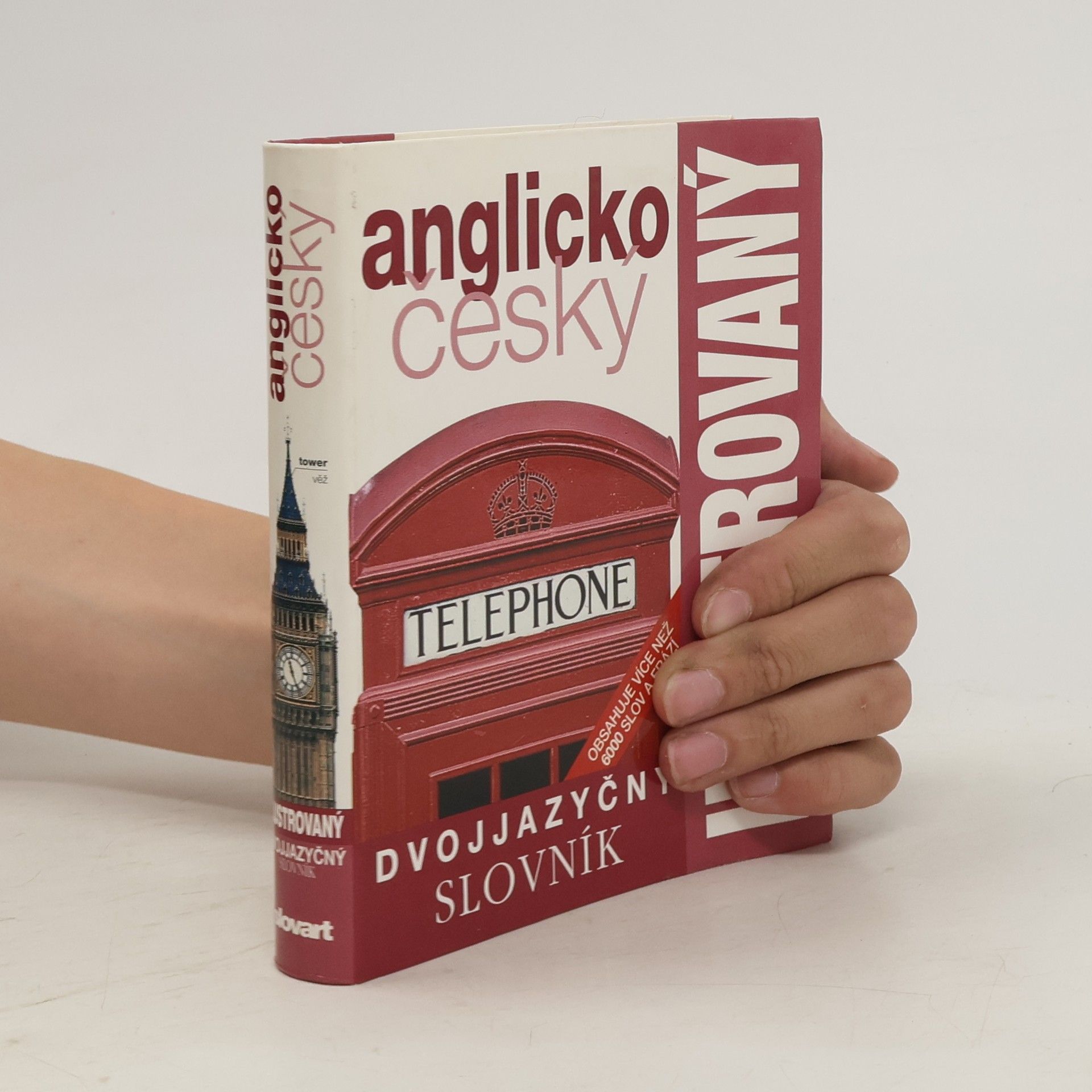 Autorenkollektiv Dvojjazyčný ilustrovaný slovník