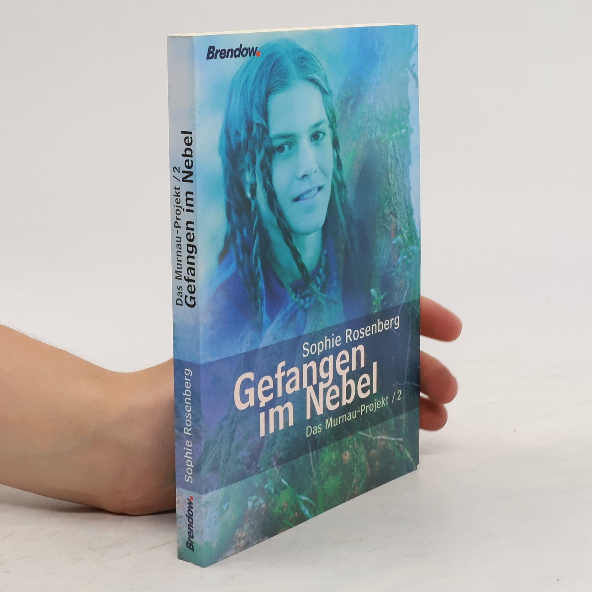 Sophie Rosenberg Das Murnau-Projekt