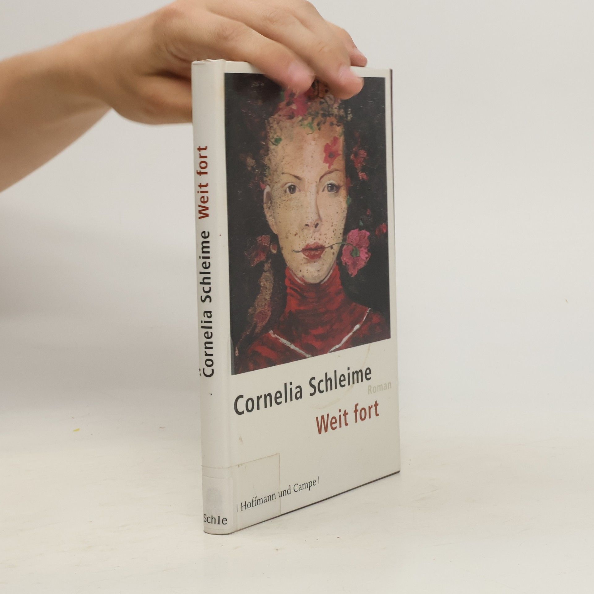 Cornelia Schleime Weit fort
