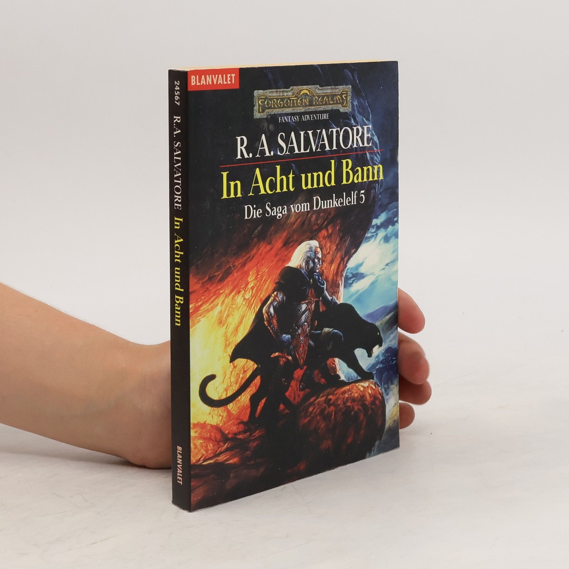 Robert Anthony Salvatore In Acht und Bann. Die Saga vom Dunkelelf