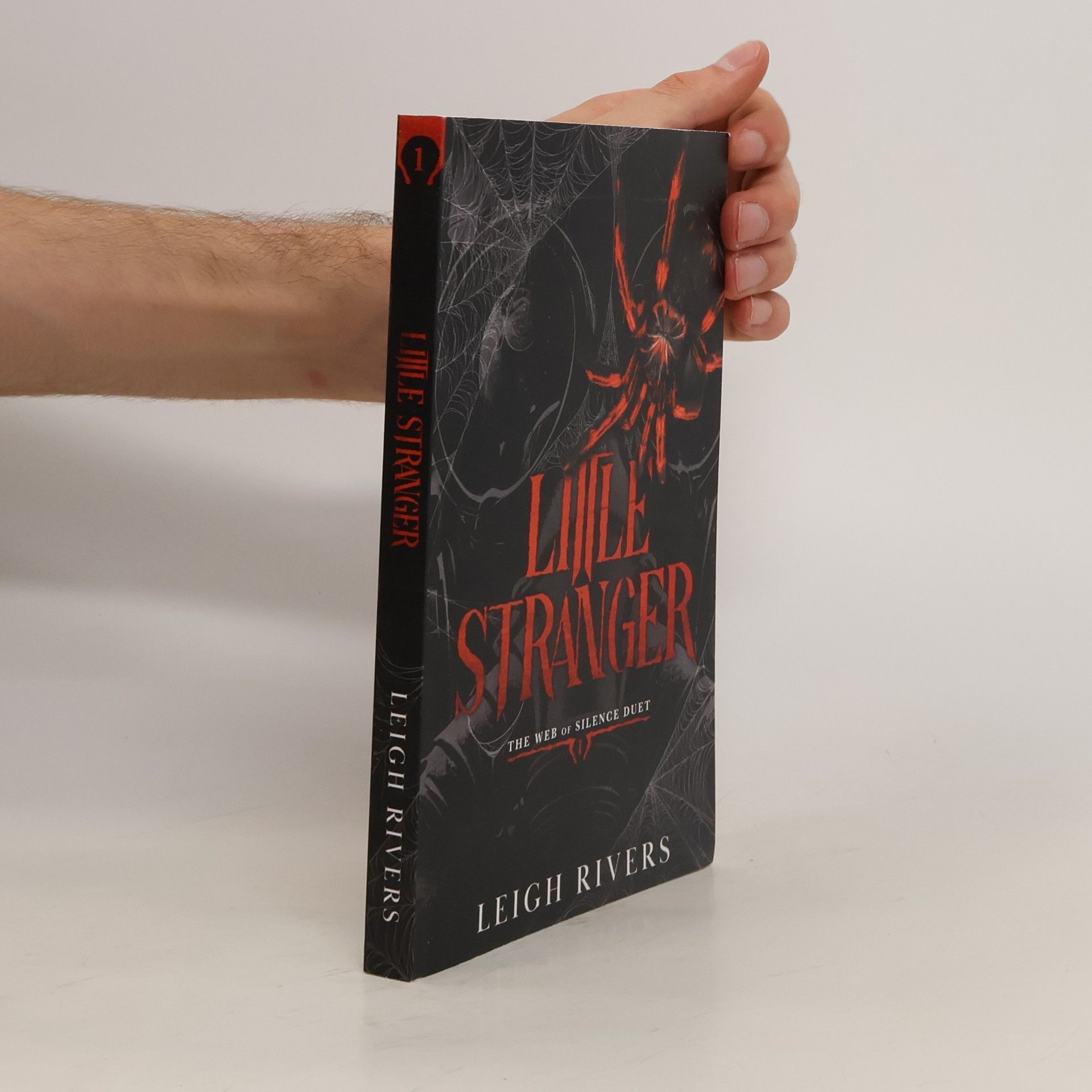 Leigh Rivers Little Stranger