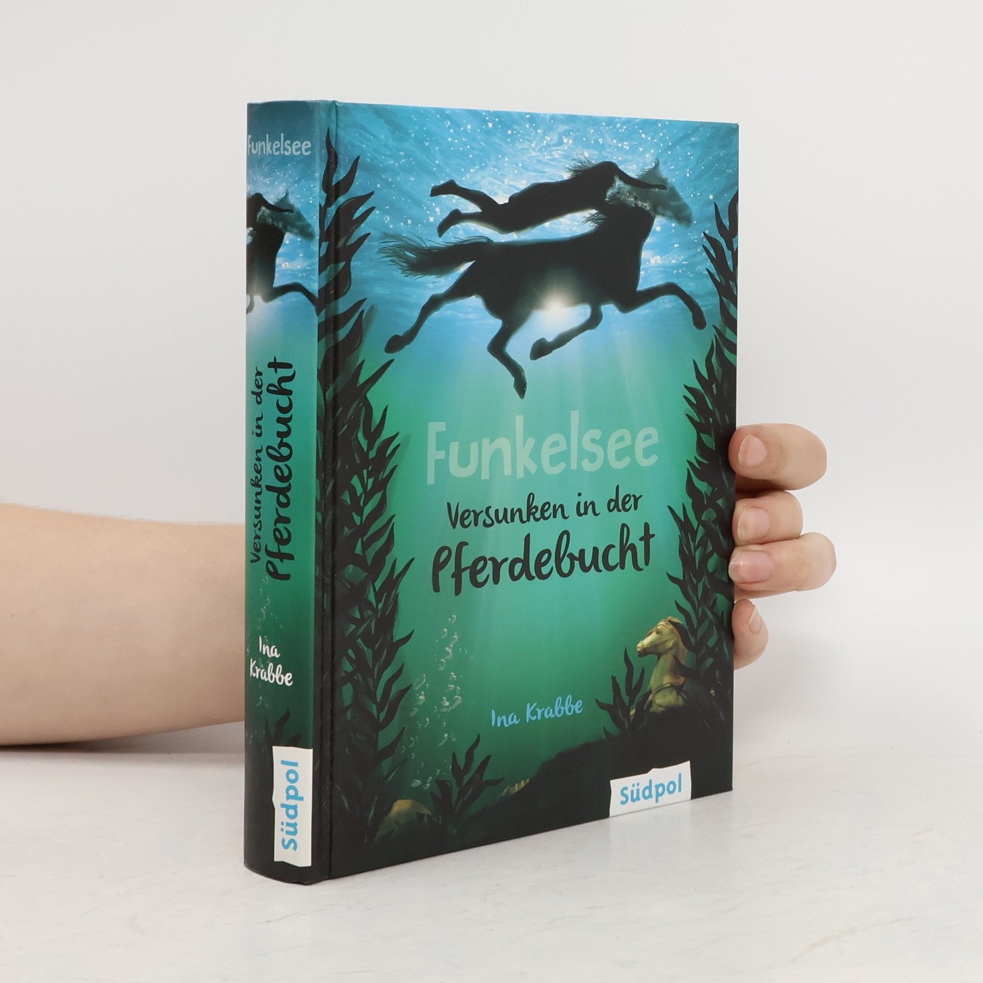 Ina Krabbe Funkelsee - versunken in der Pferdebucht