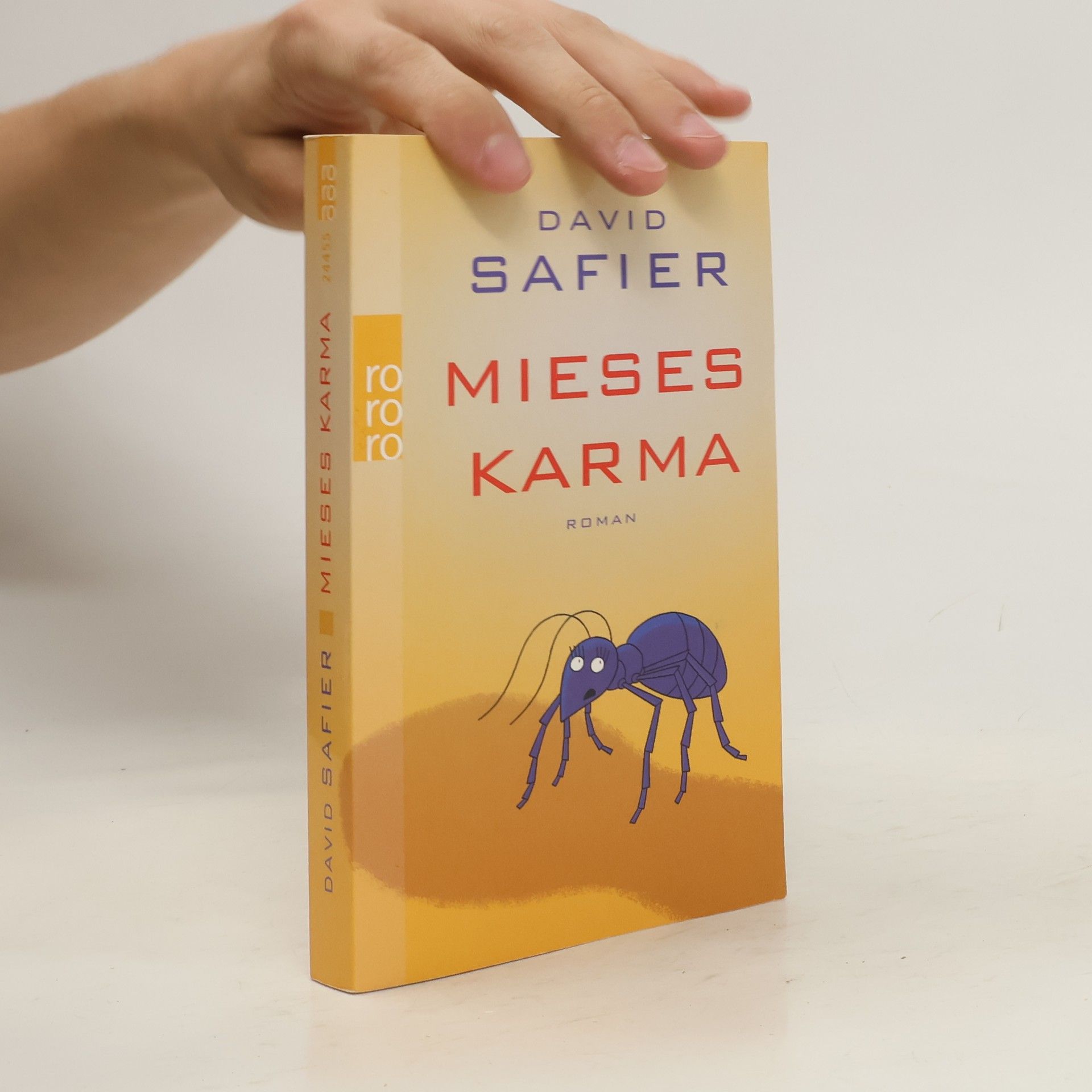 David Safier Mieses Karma