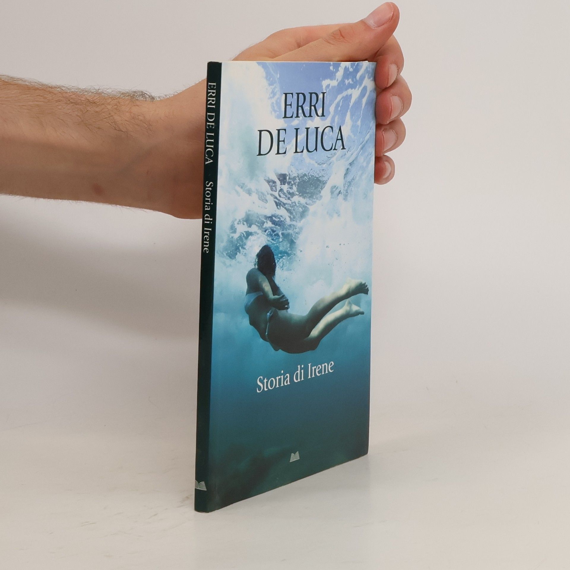 Erri De Luca Storia di Irene
