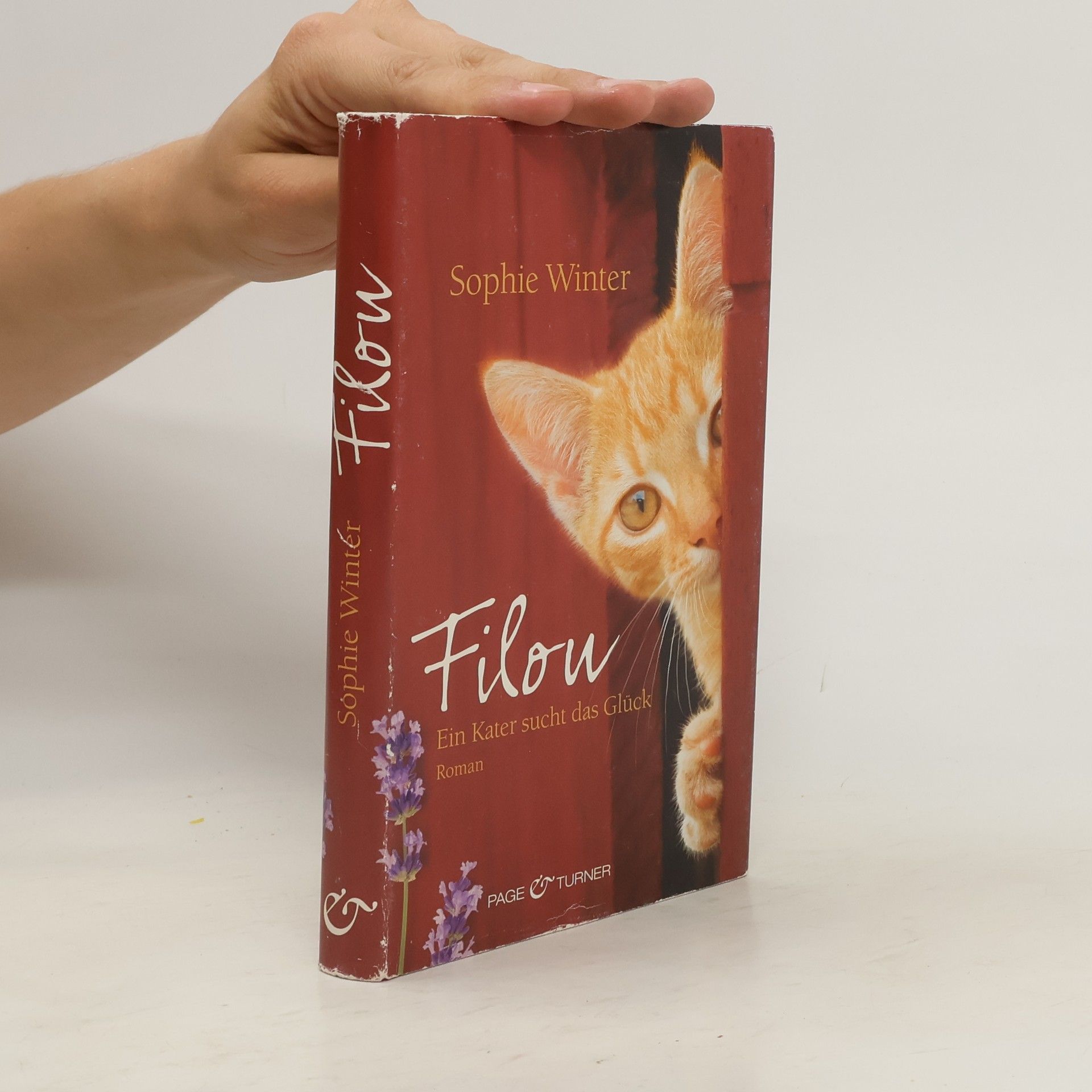 Sophie Winter Filou - ein Kater sucht das Glück
