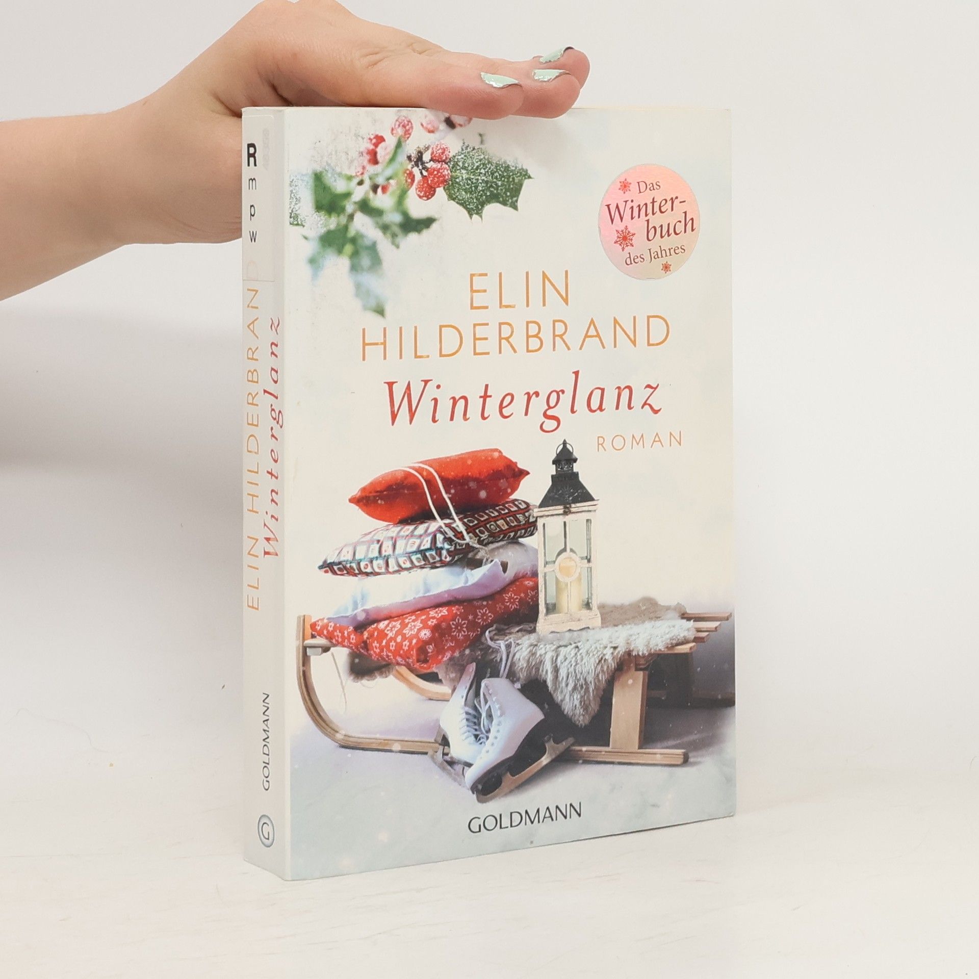Elin Hilderbrand Winterglanz