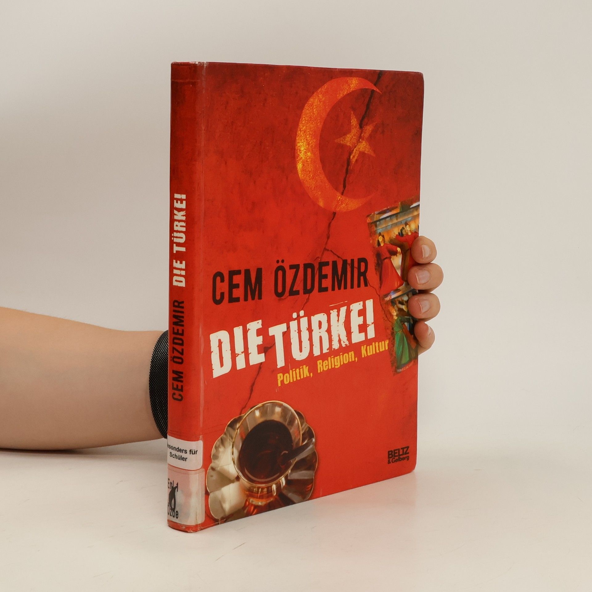Cem O. zdemir Die Türkei