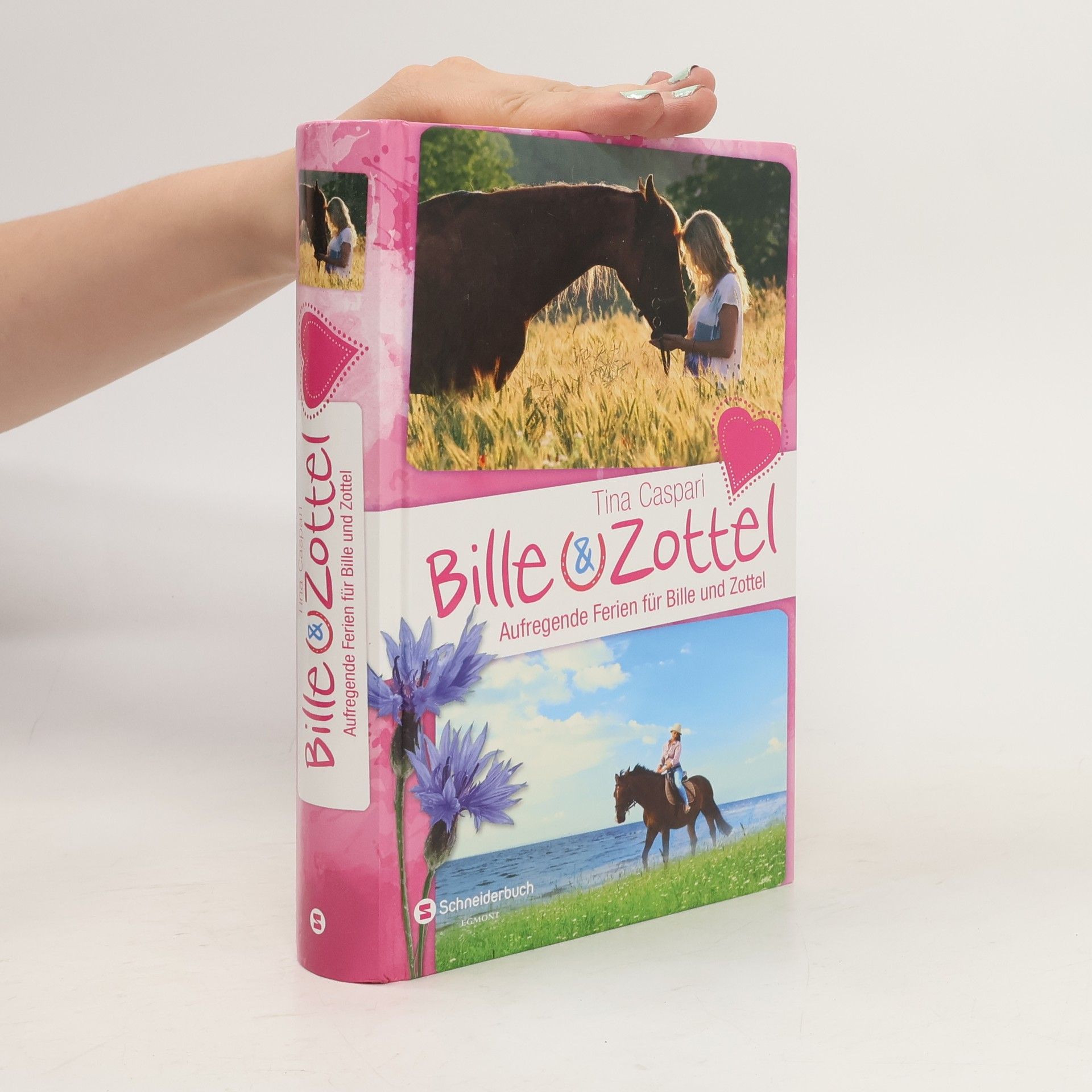 Tina Caspari Aufregende Ferien für Bille und Zottel