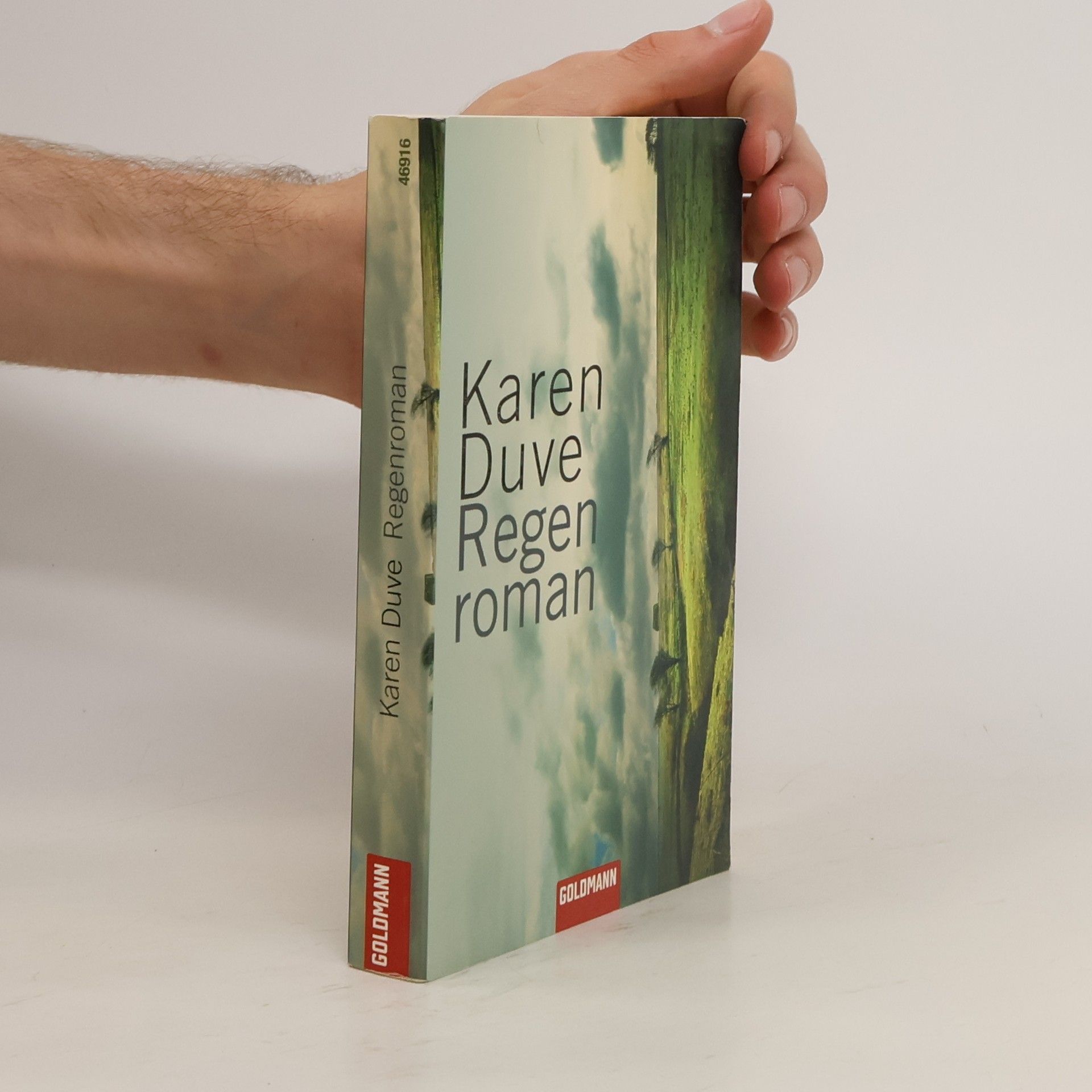 Karen Duve Regenroman