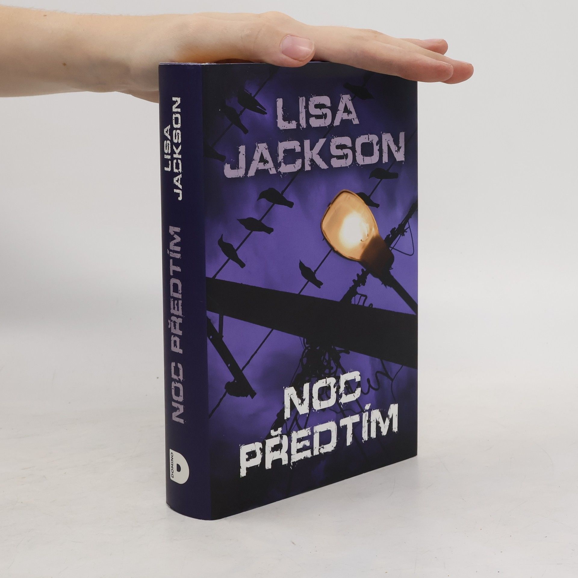 Lisa Jackson Noc předtím