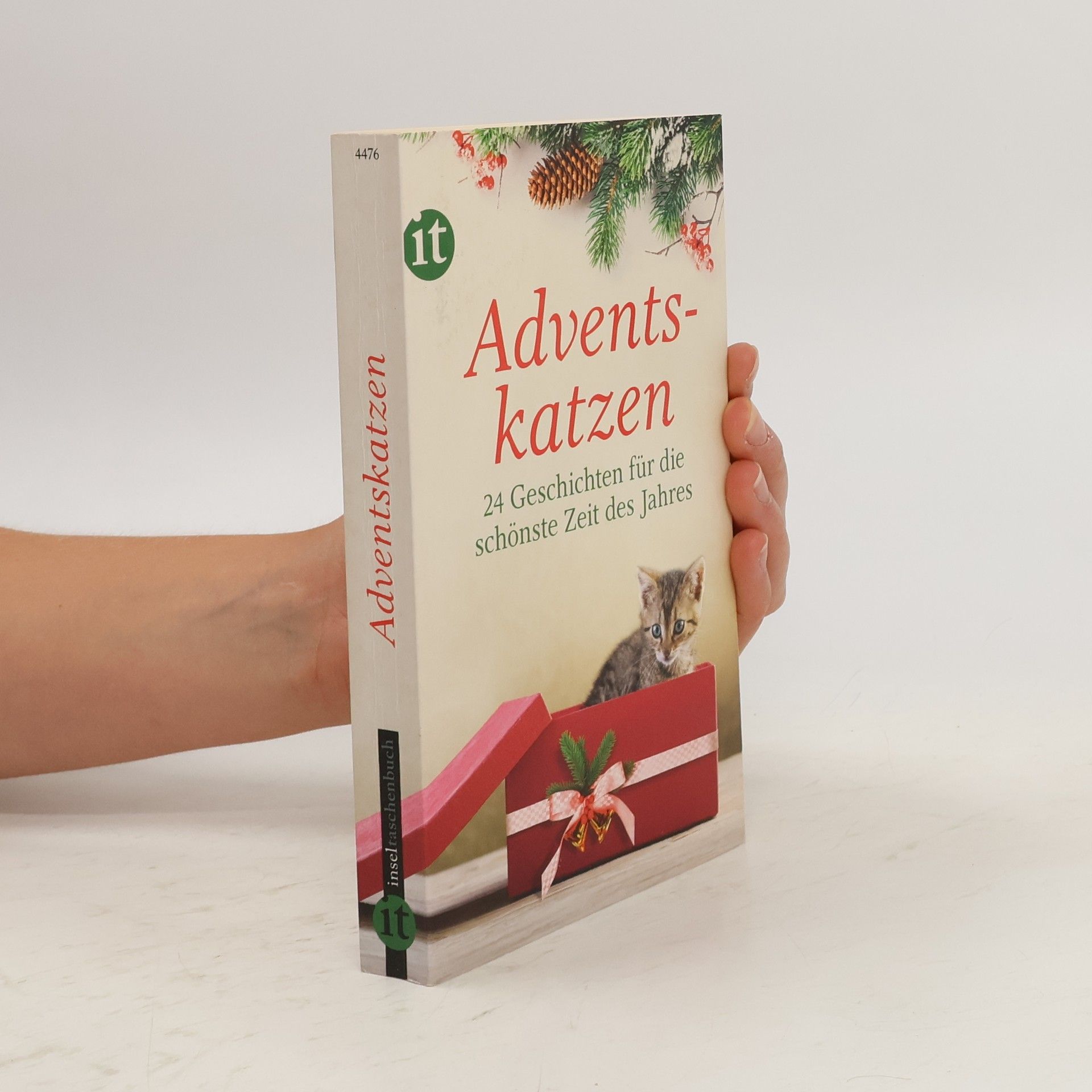 Gesine Dammel Adventskatzen