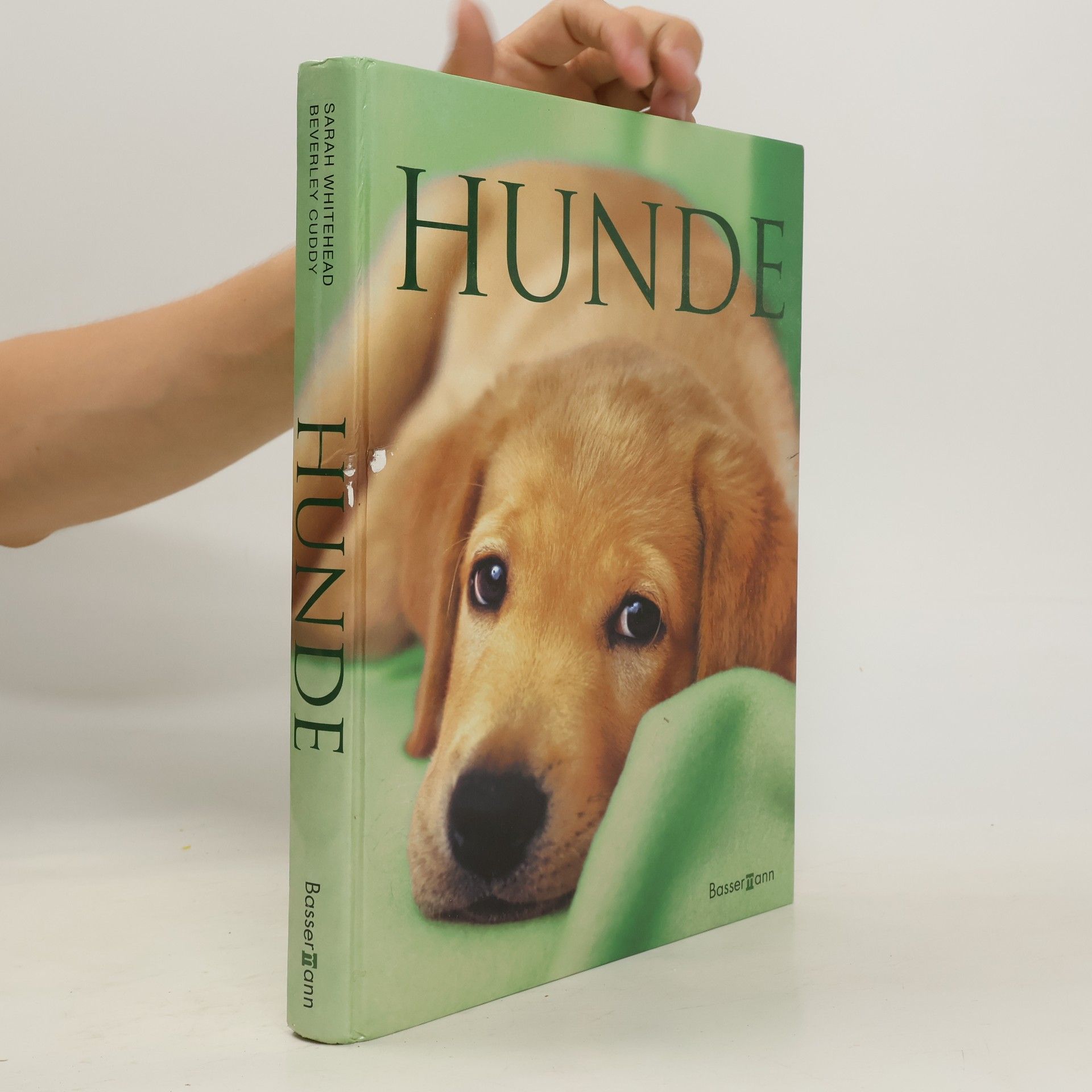 Sarah Whitehead Hunde
