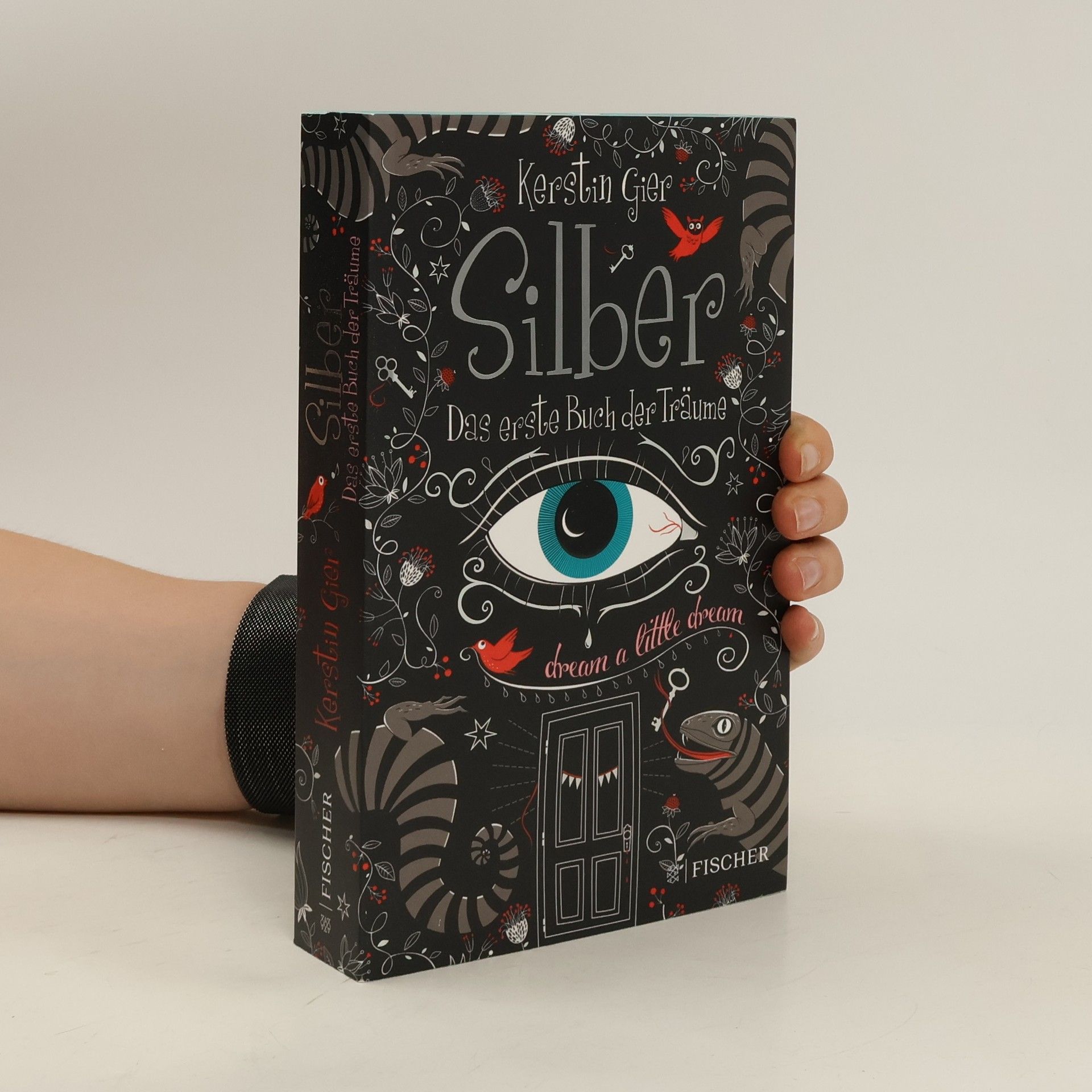 Kerstin Gier Silber - Das erste Buch der Träume