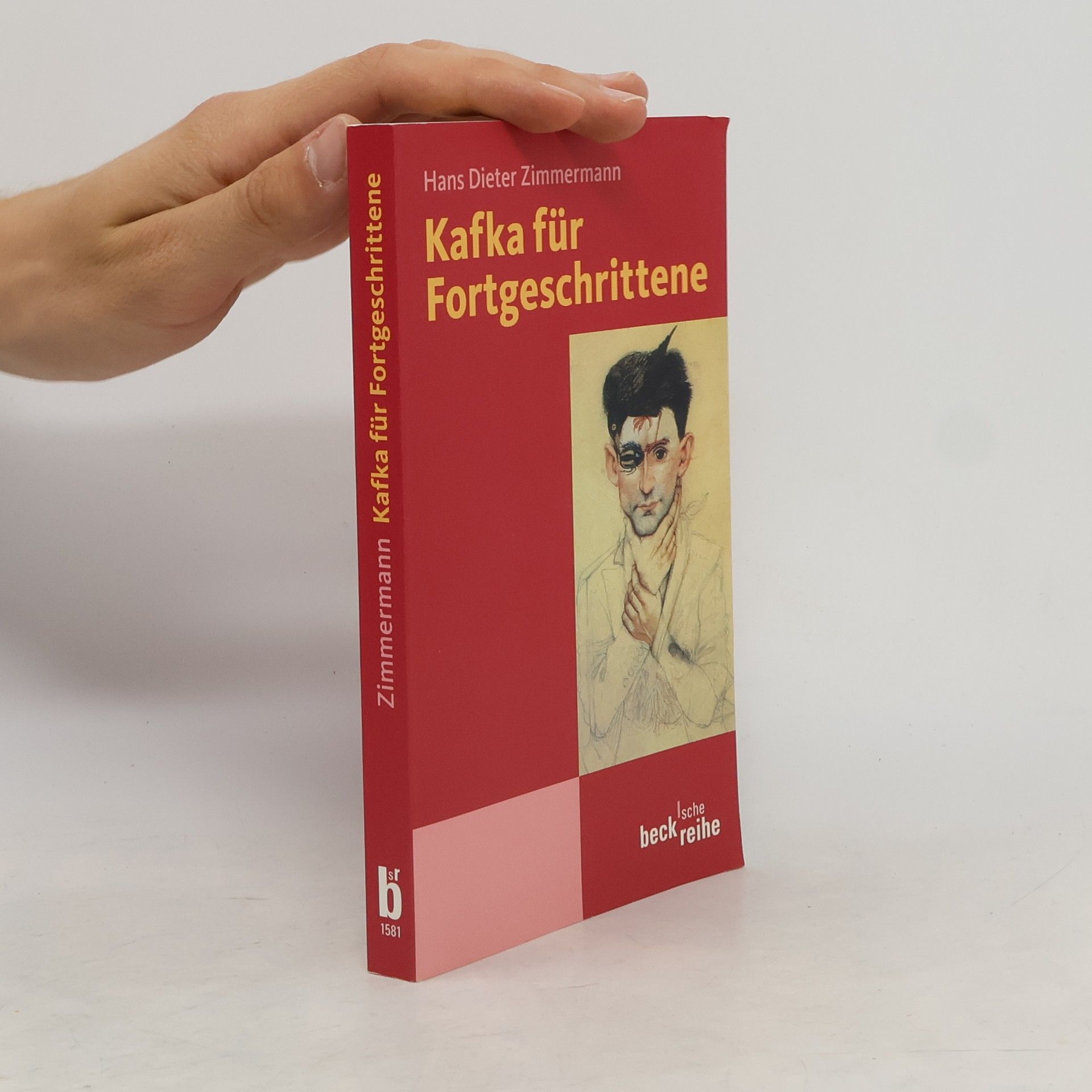 Hans Dieter Zimmermann Kafka für Fortgeschrittene