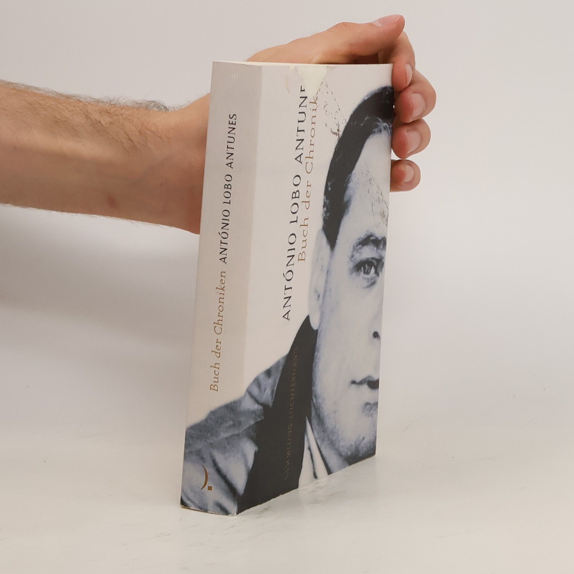 Antonio Lobo Antunes Buch der Chroniken