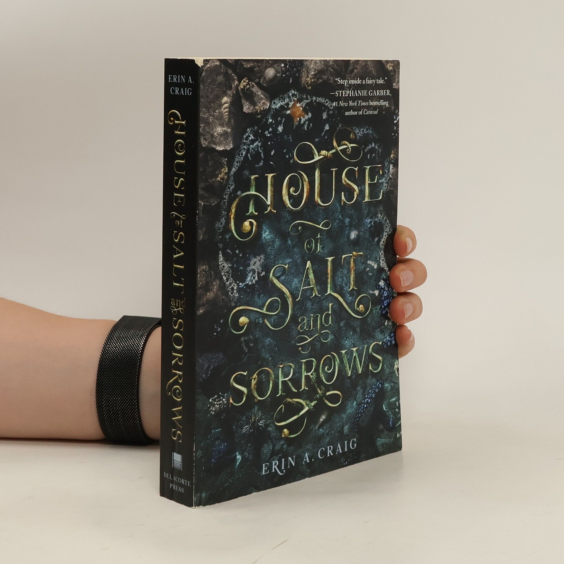 Erin A. Craig House of salt and sorrows