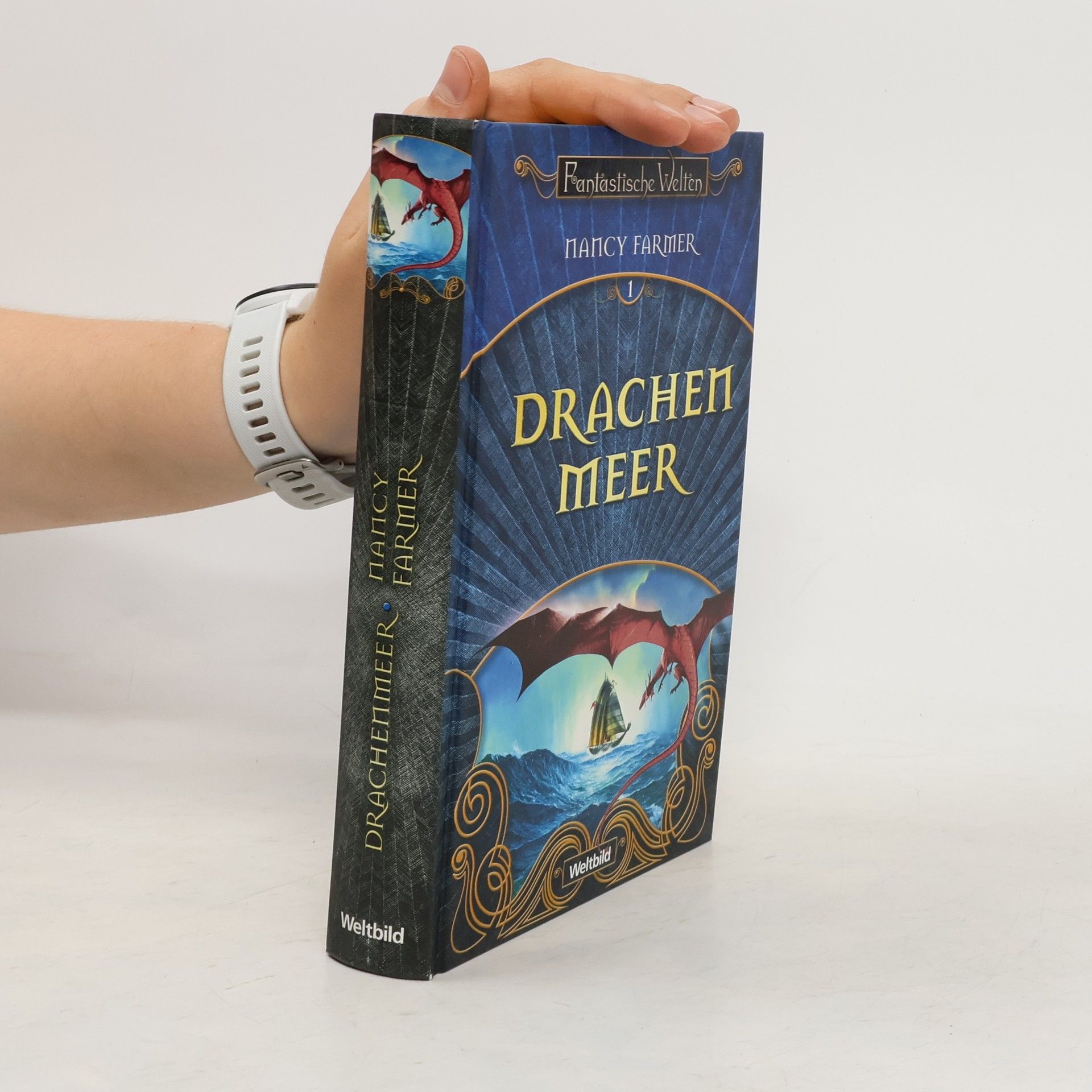 Nancy Farmer Drachen Meer 1