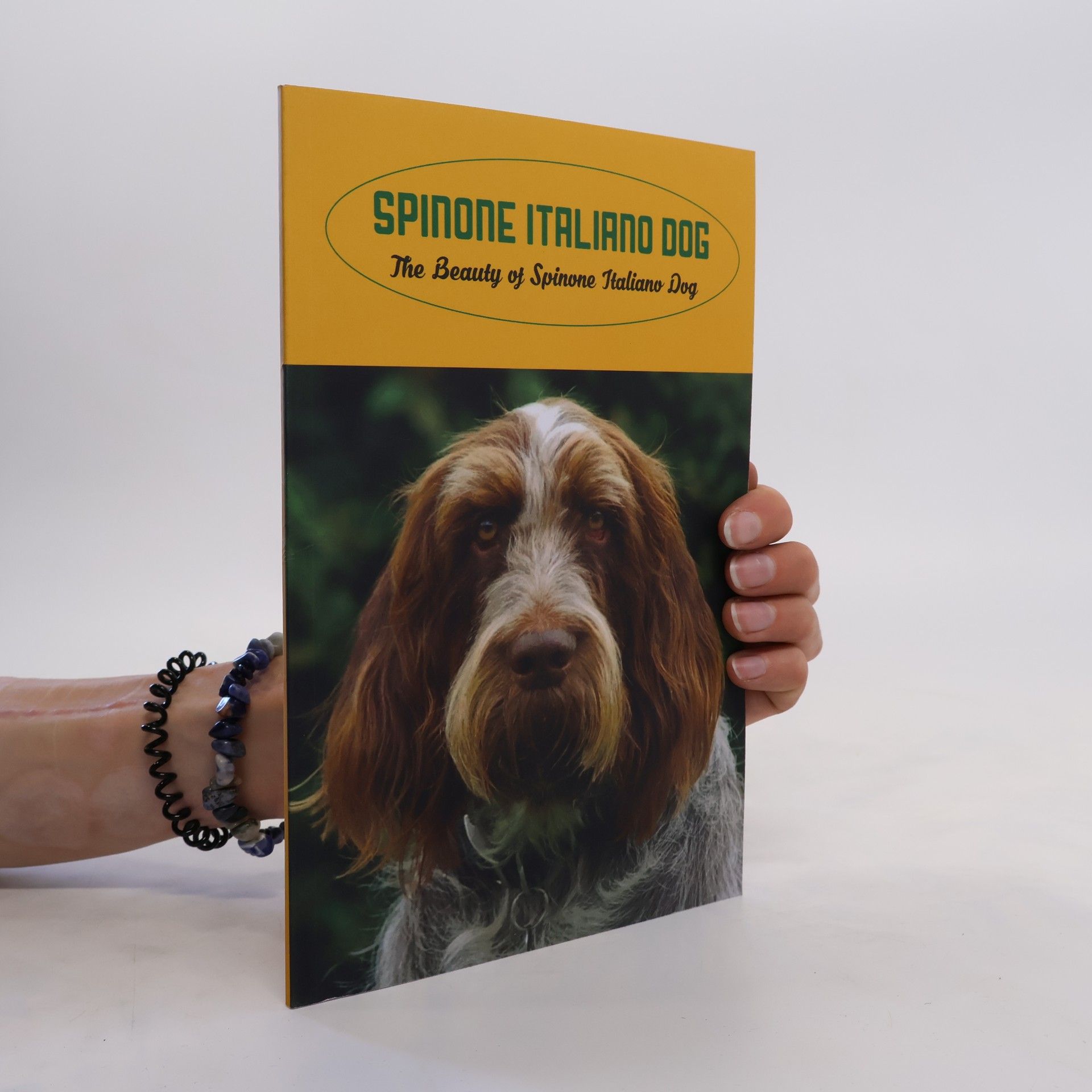 kolektiv Spinone Italiano Dog. The Beauty of Spinone Italiano Dog