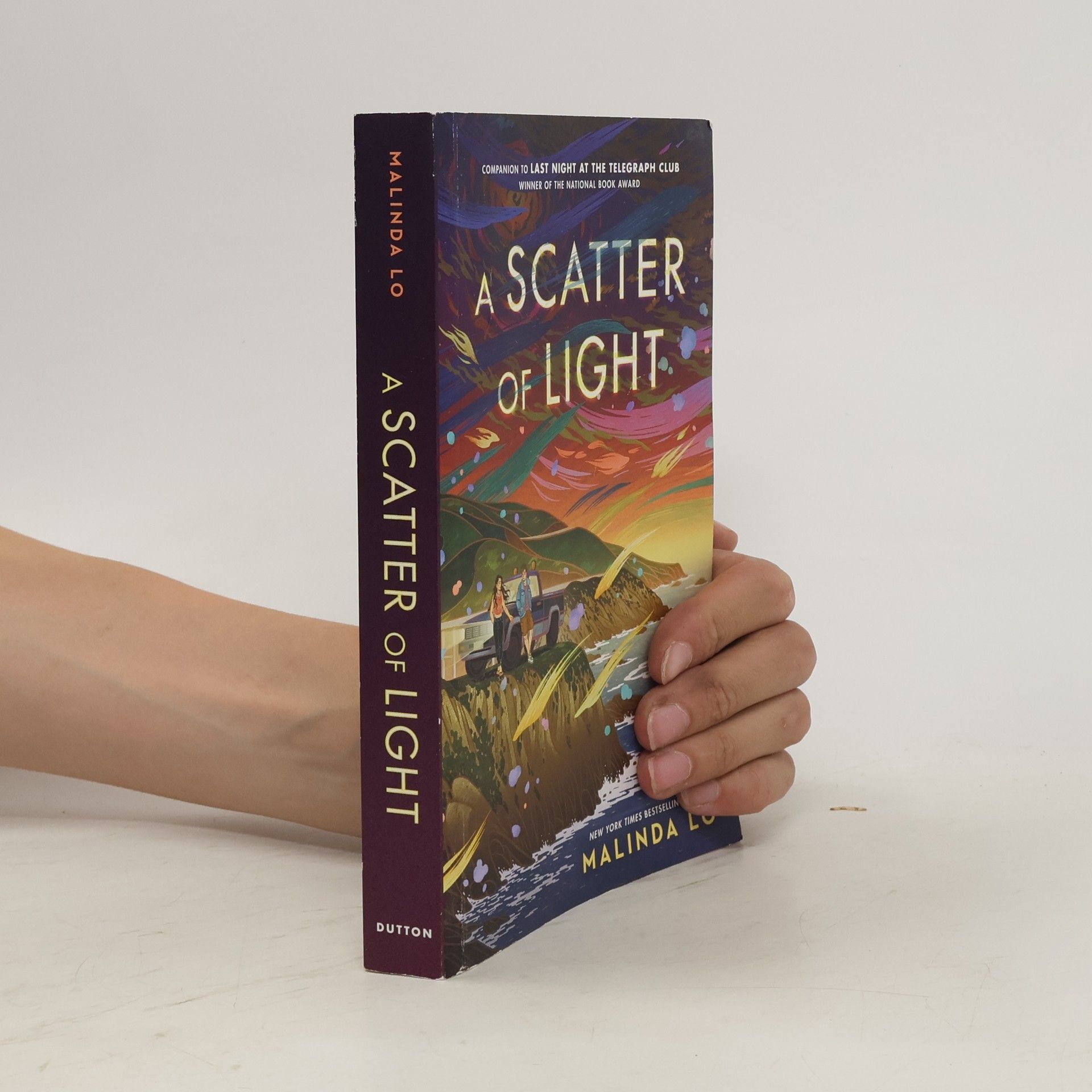 Malinda Lo A Scatter of Light