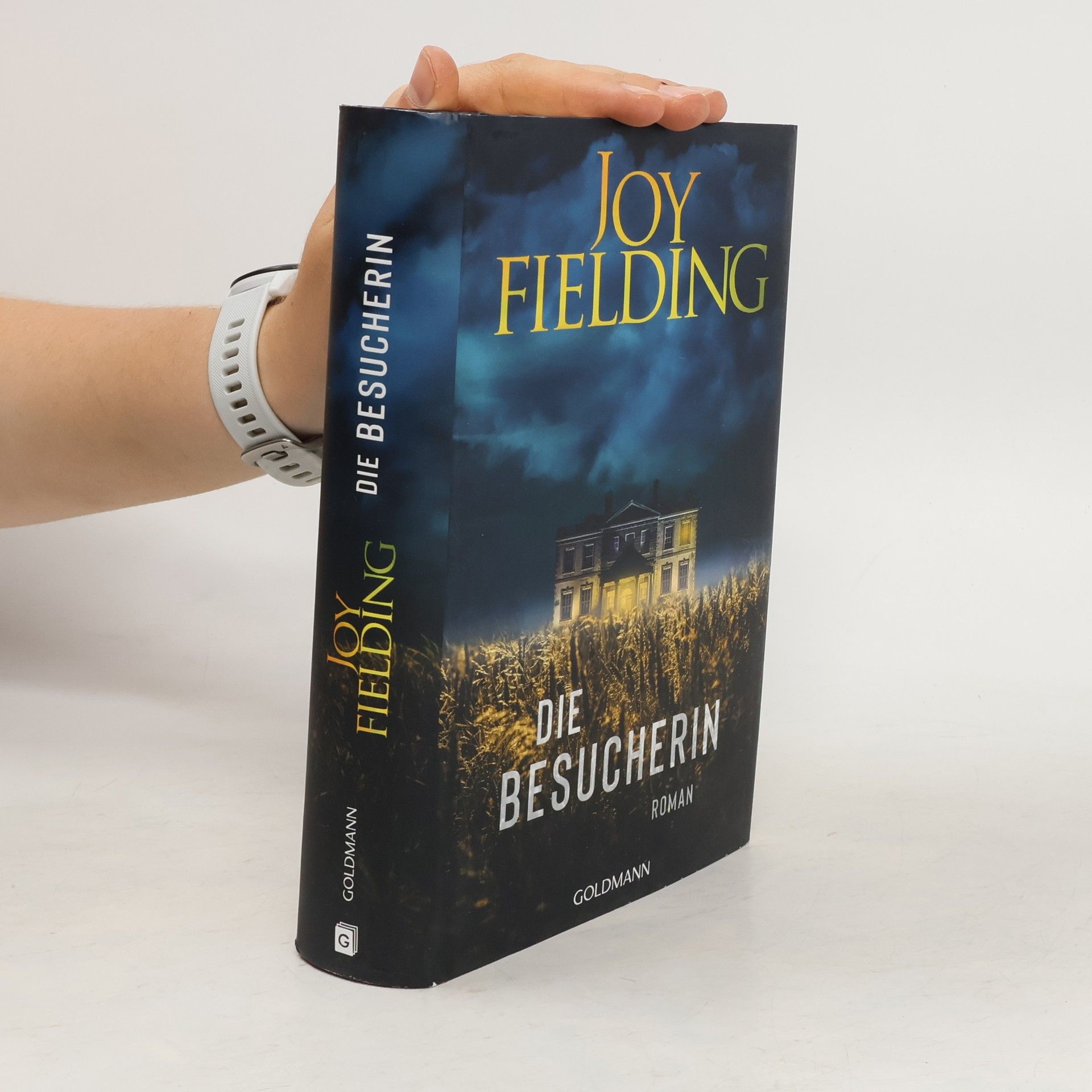 Joy Fielding Die Besucherin