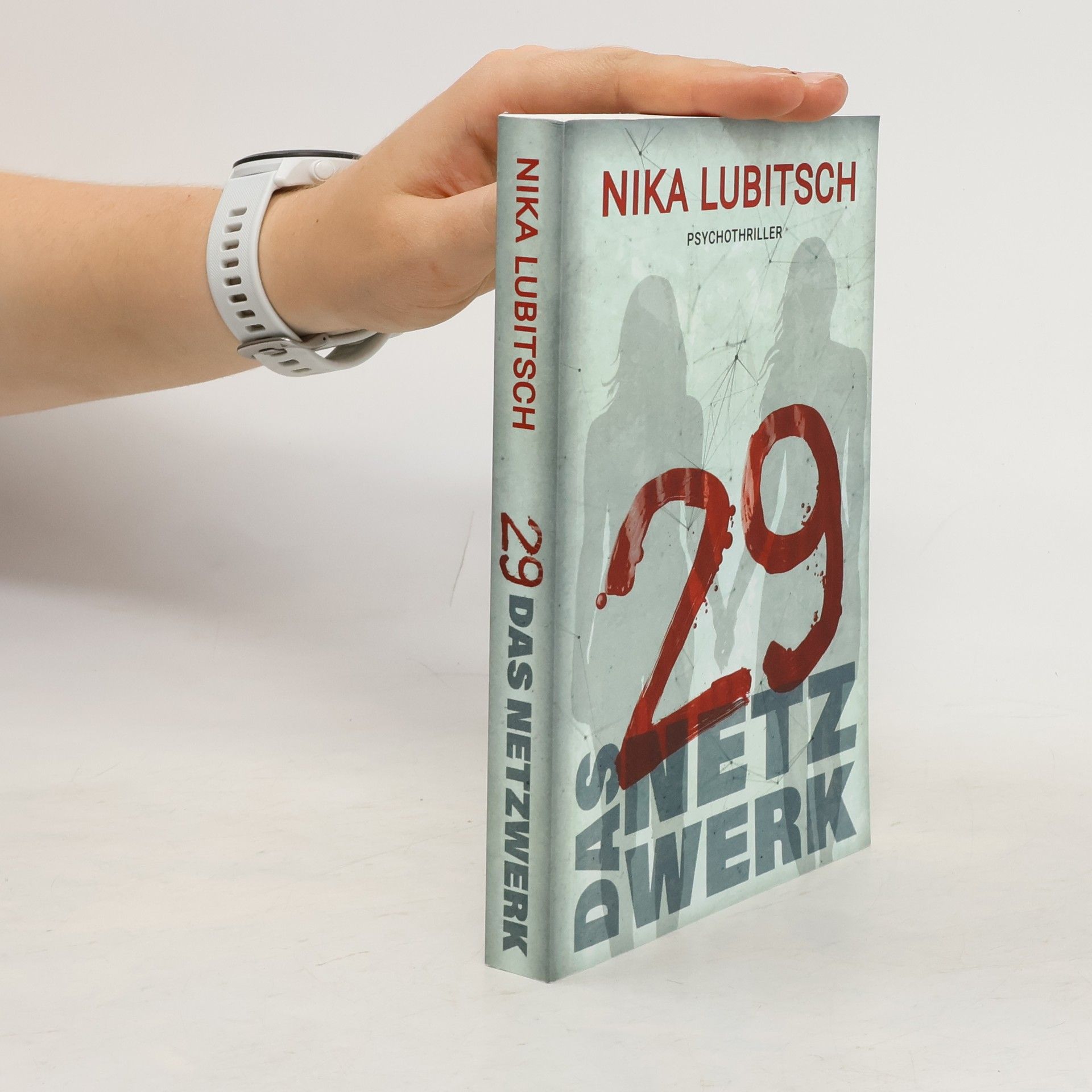 Nika Lubitsch 29 - Das Netzwerk