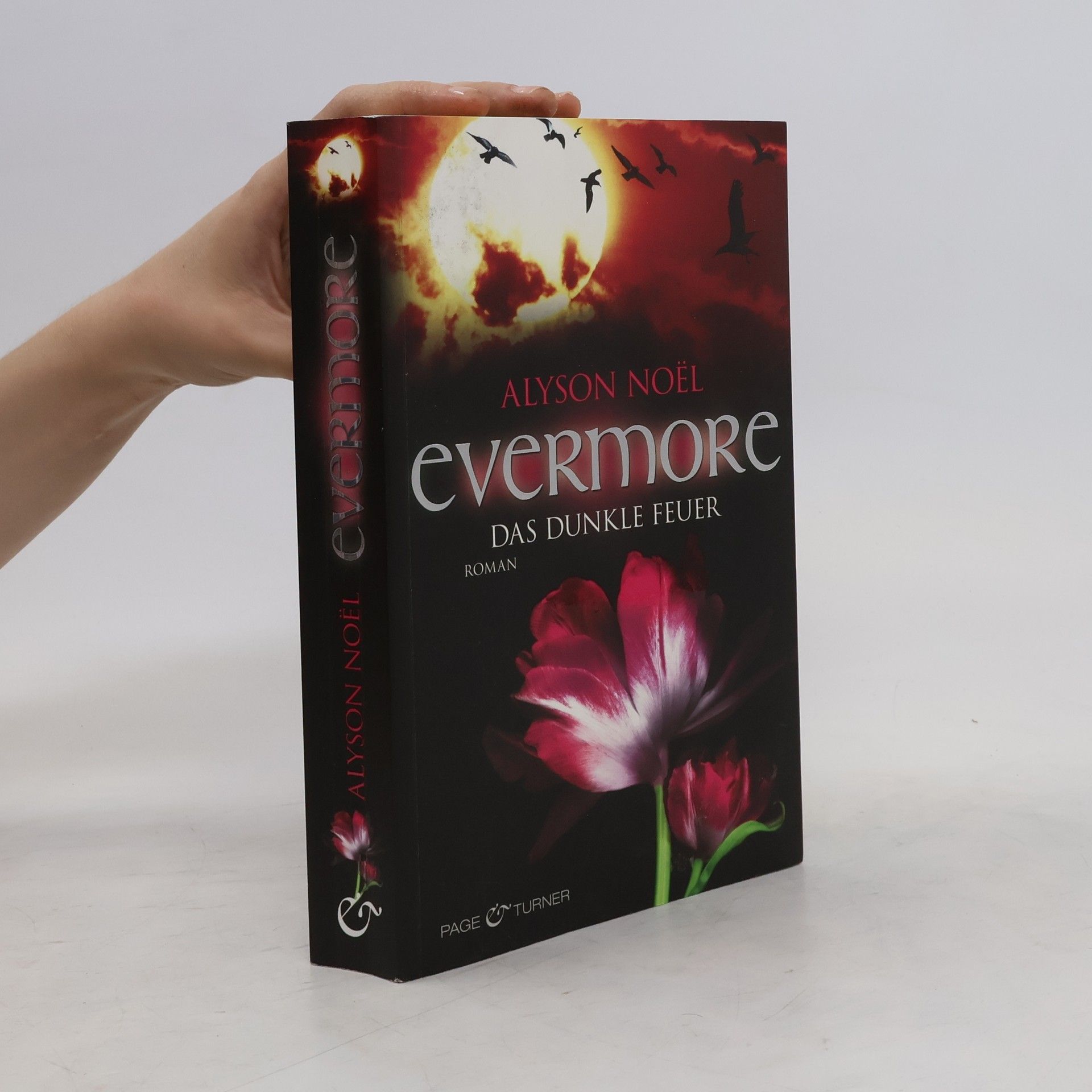 Alyson Noël Evermore: Das dunkle Feuer
