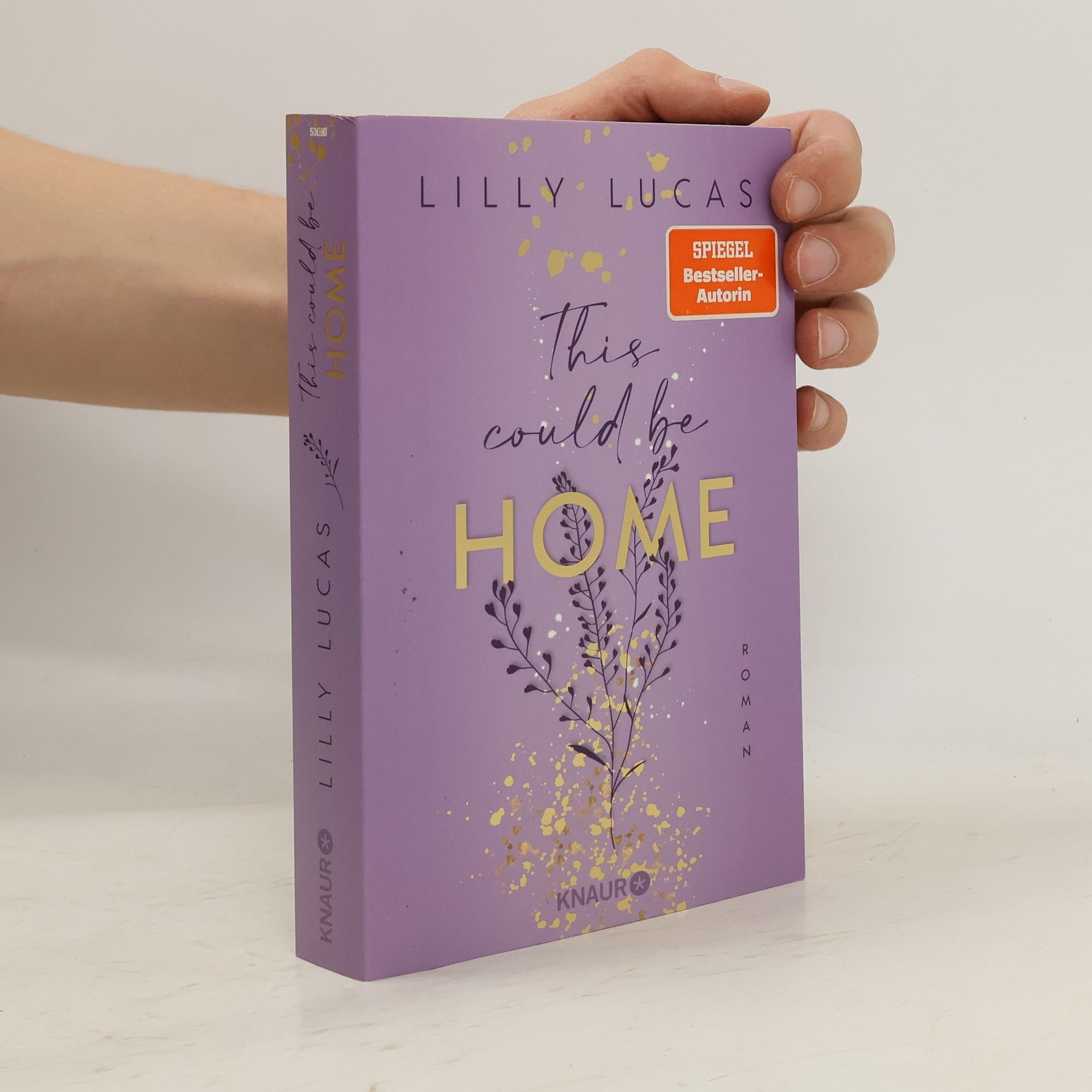 Lilly Lucas This could be home / Hawaii Love Bd.2